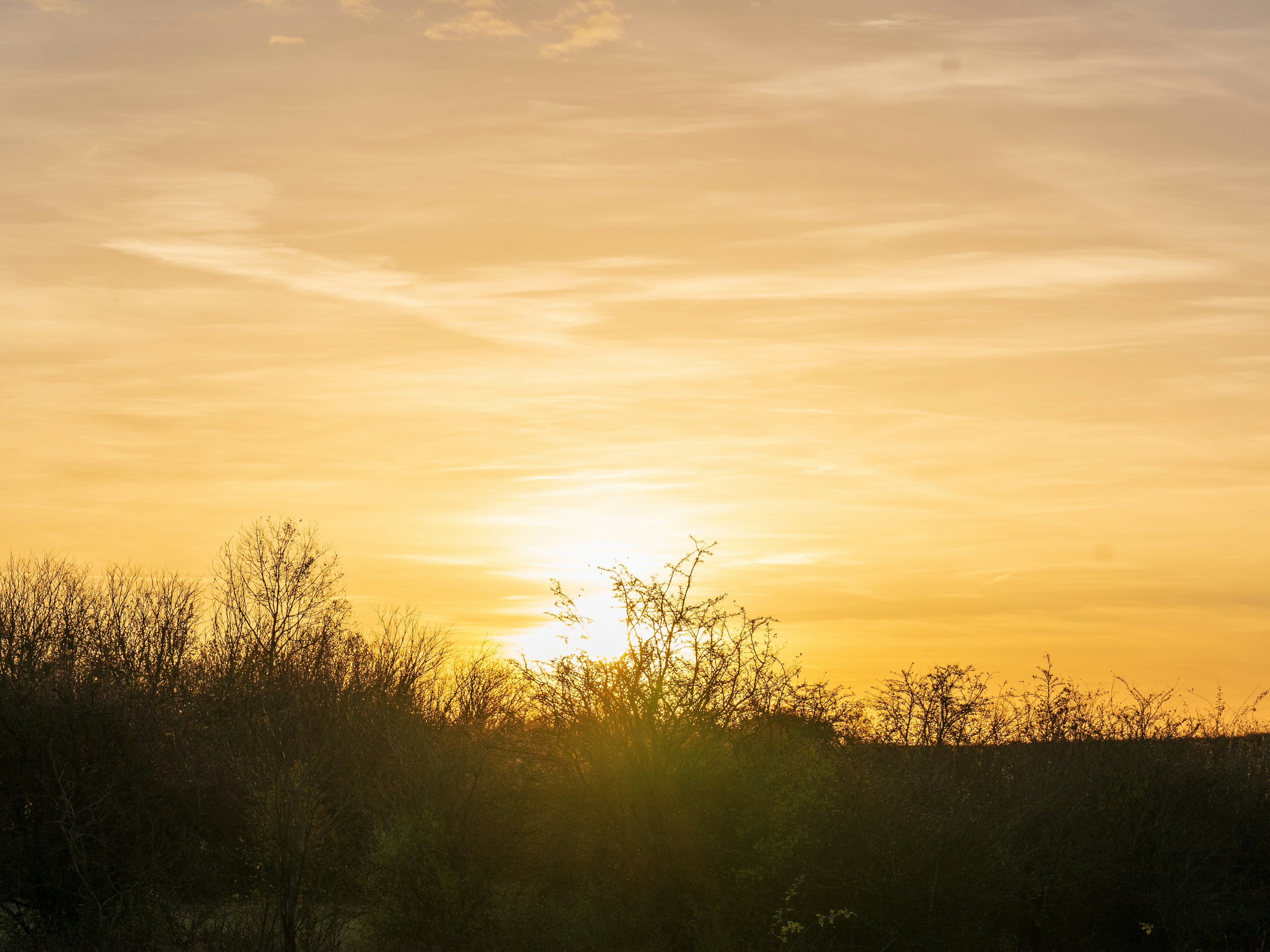 Photo by bangscreative