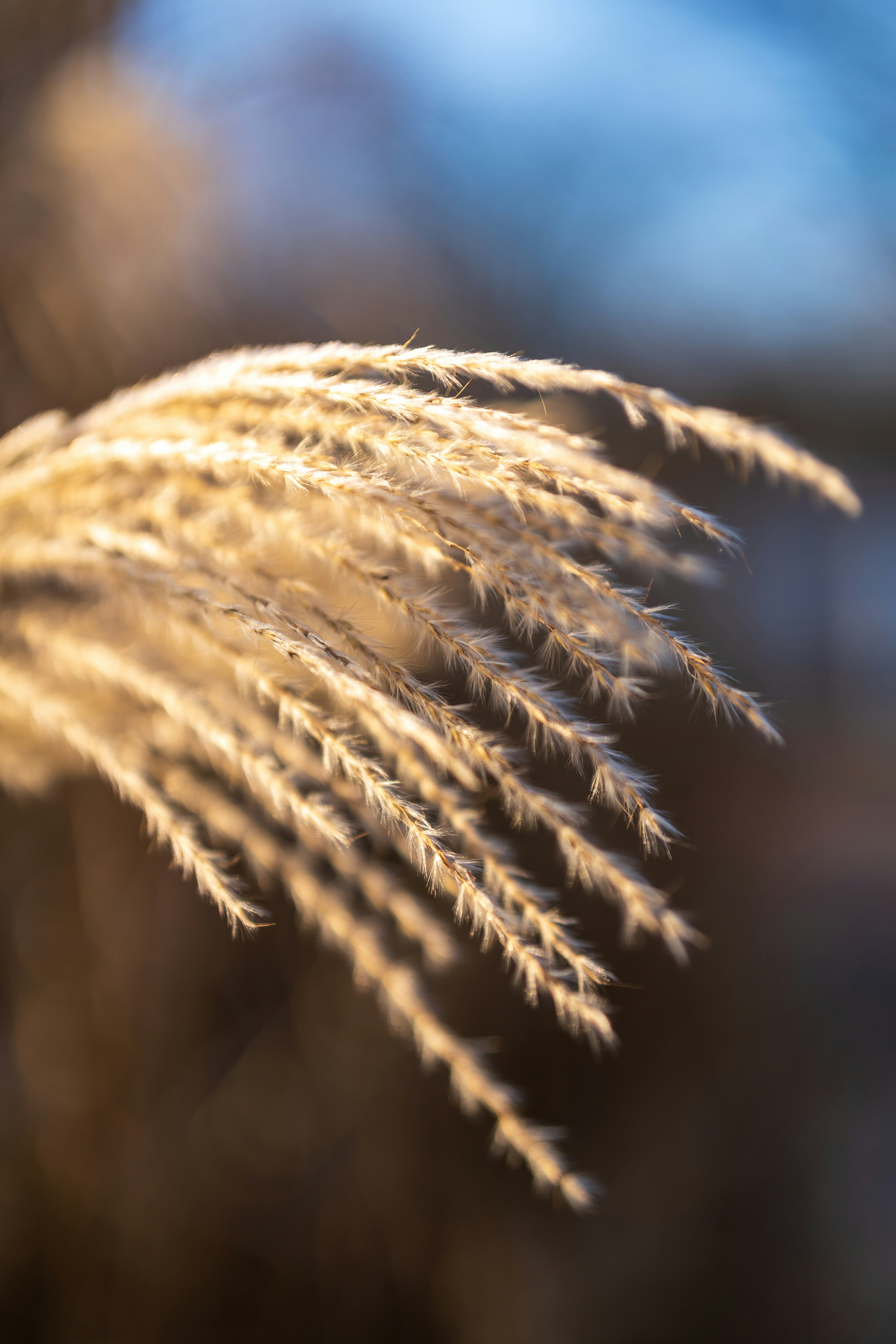 Photo by bangscreative