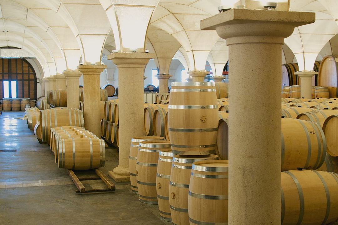 A large room filled with lots of wooden barrels,