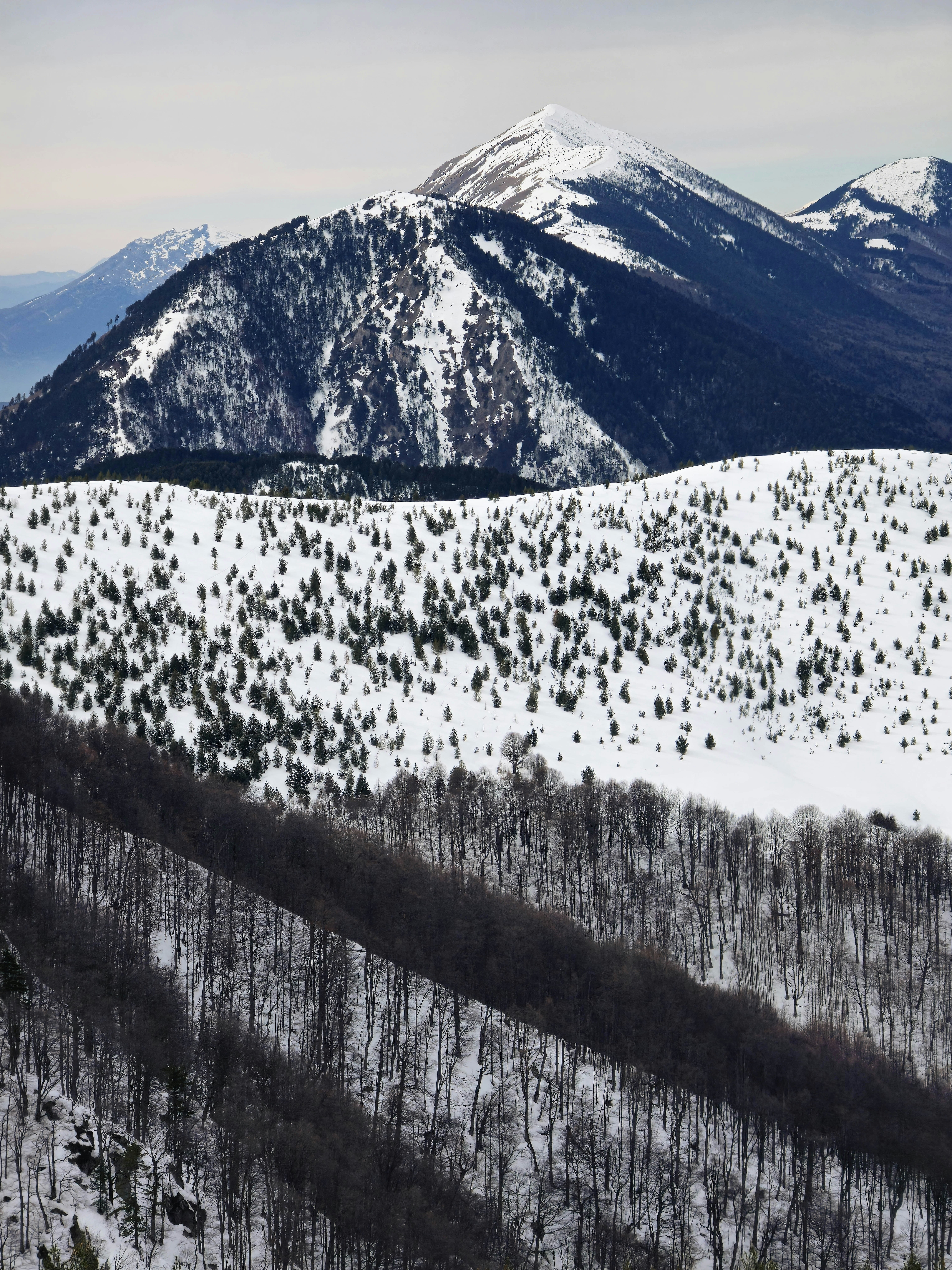 A train traveling through a snow covered mountain range