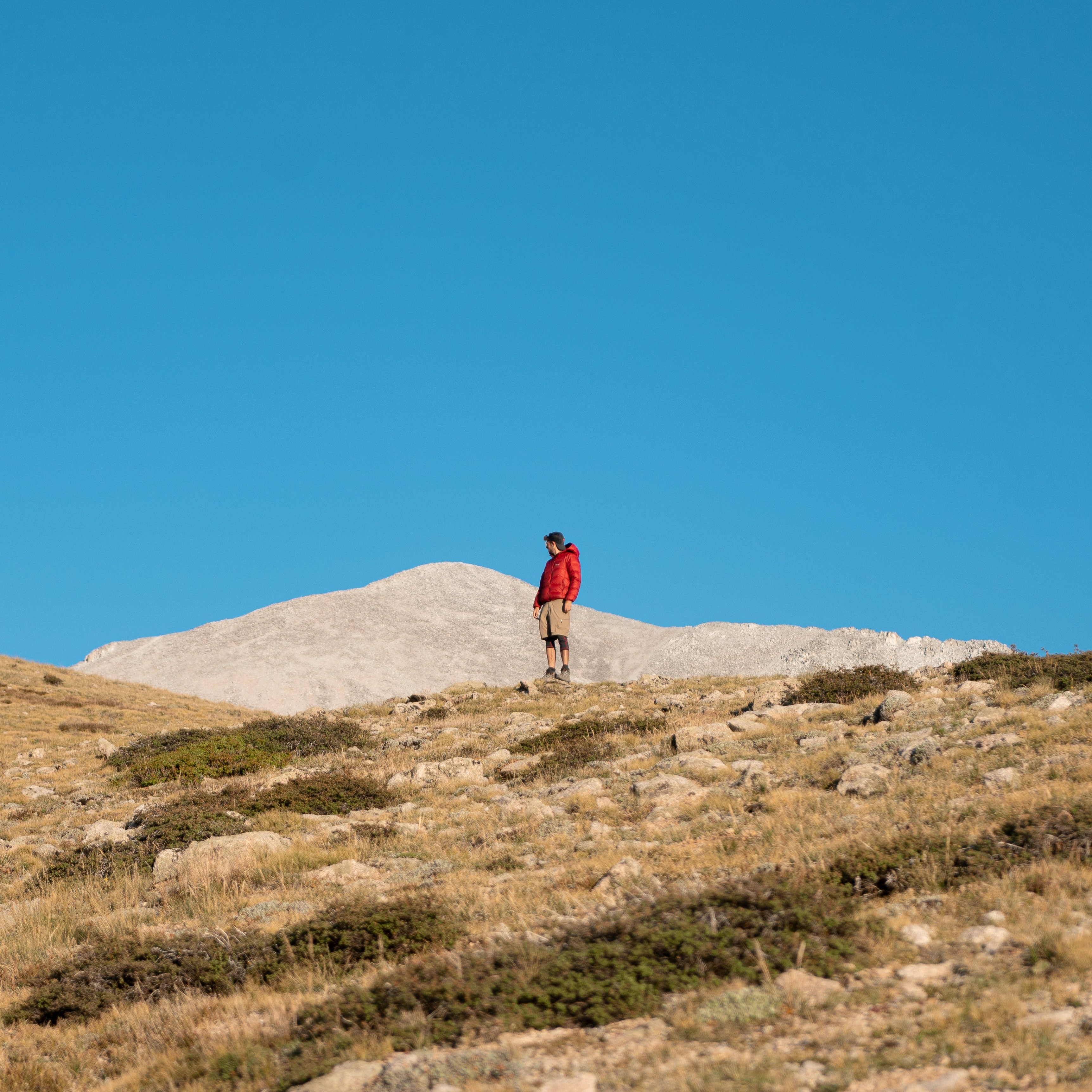 Photo by intricateexplorer