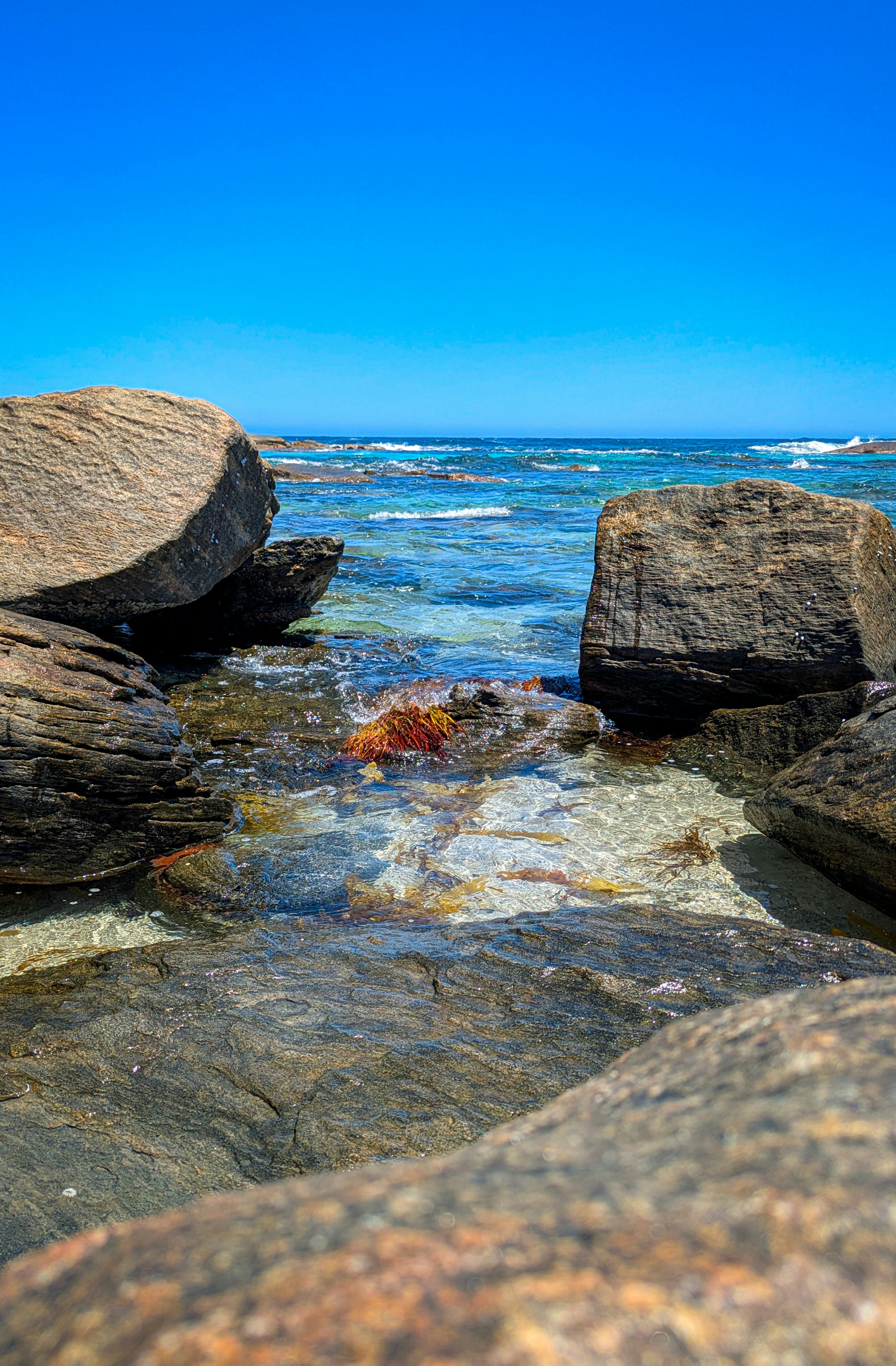 The ocean at a beach. In the foreground are large rocks, forming a pool of sorts containing orange-red seaweed. Beyond it, the turquoise sea can be seen, spotted with rocks, with the clear, blue sky over it.