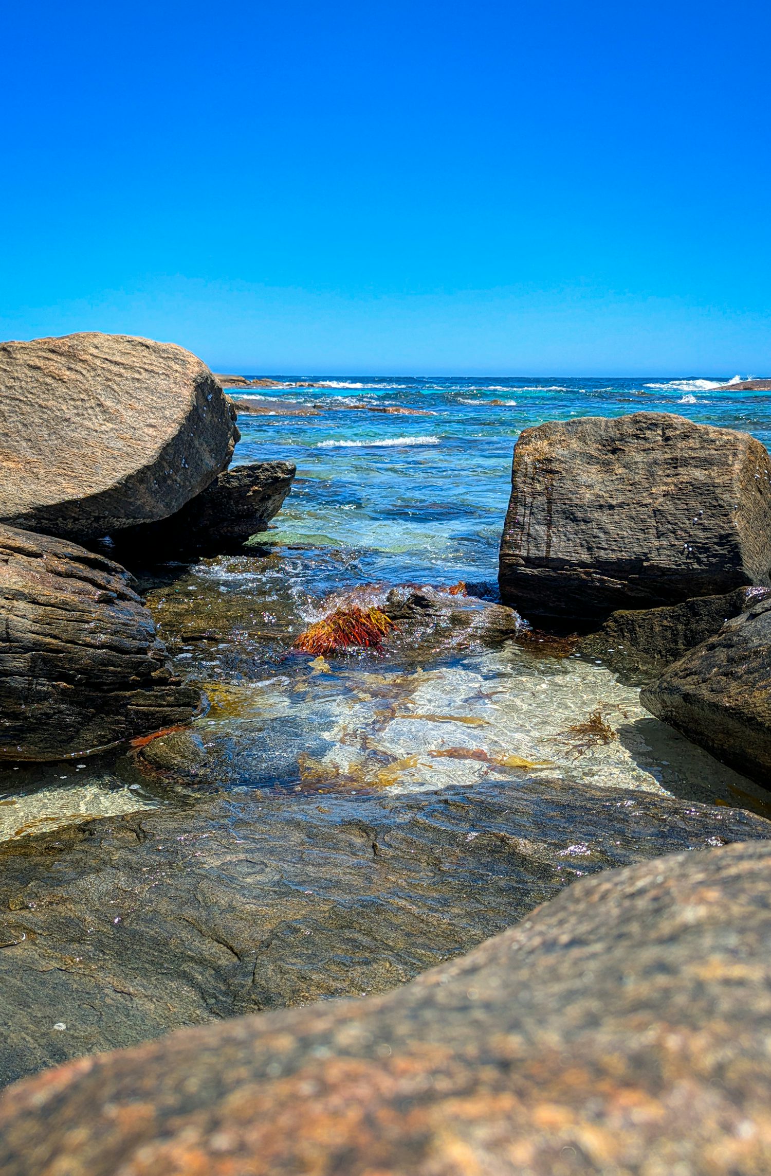 The ocean at a beach. In the foreground are large rocks, forming a pool of sorts containing orange-red seaweed. Beyond it, the turquoise sea can be seen, spotted with rocks, with the clear, blue sky over it.