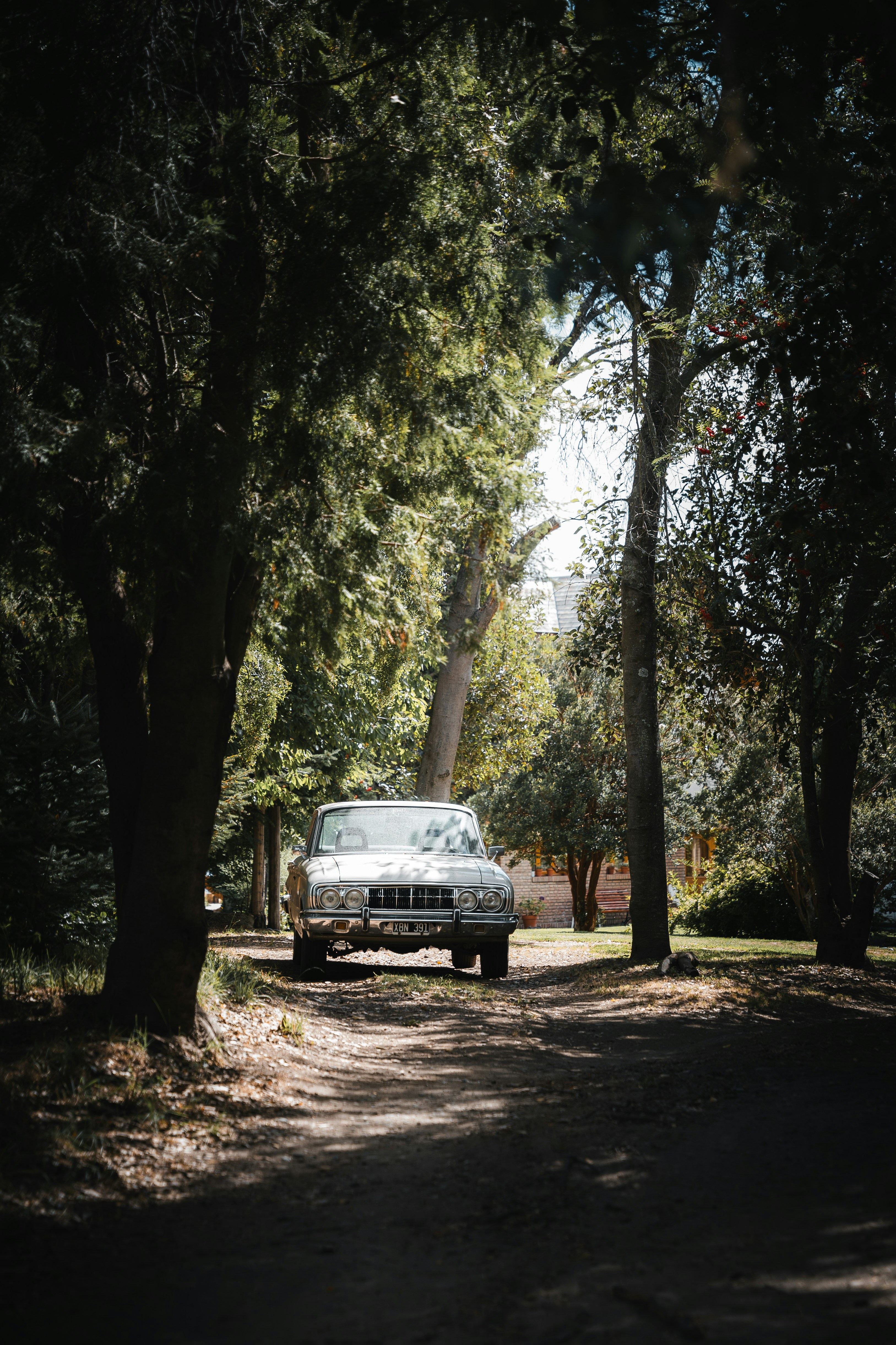 Photo by auchynnikau