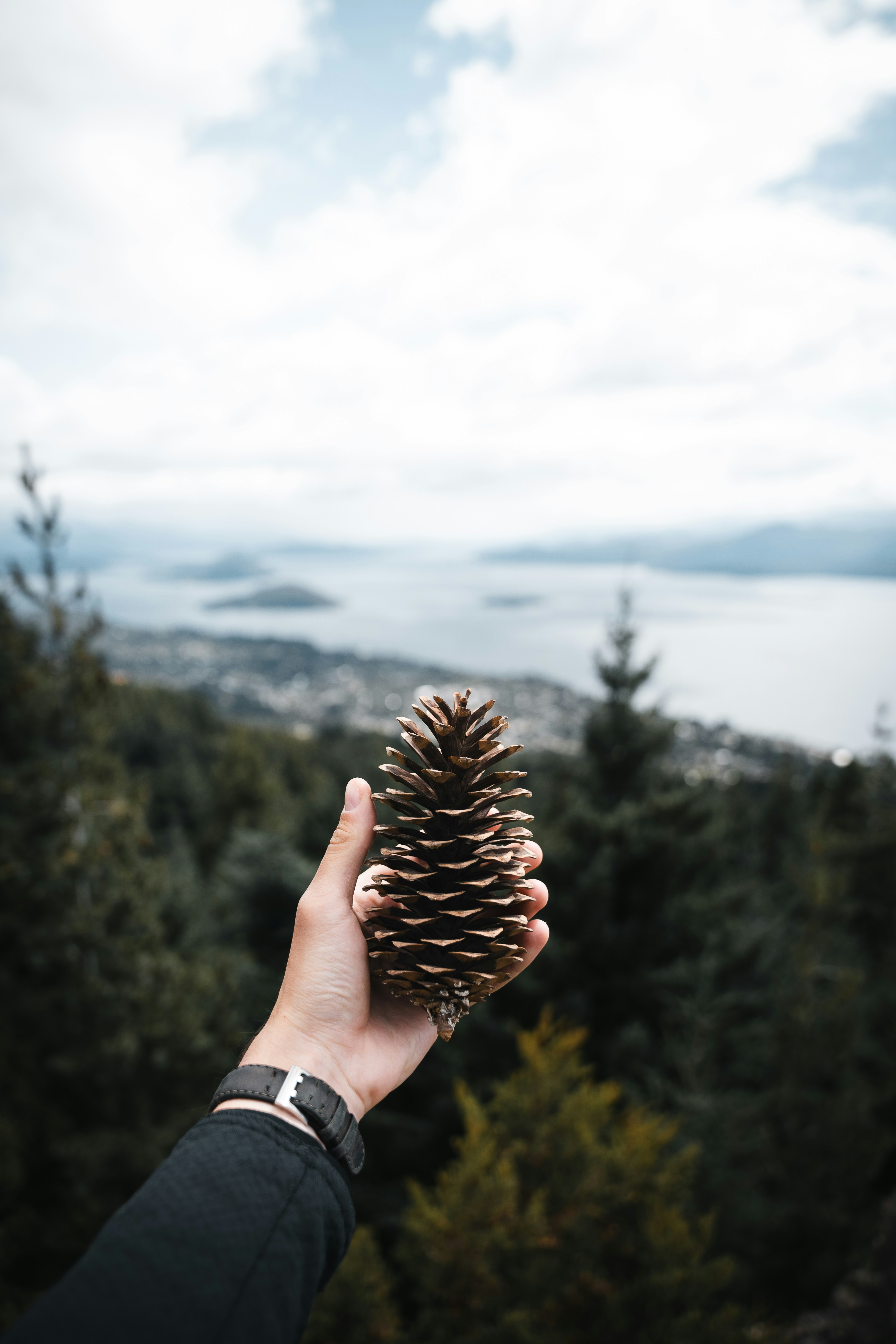 Photo by auchynnikau