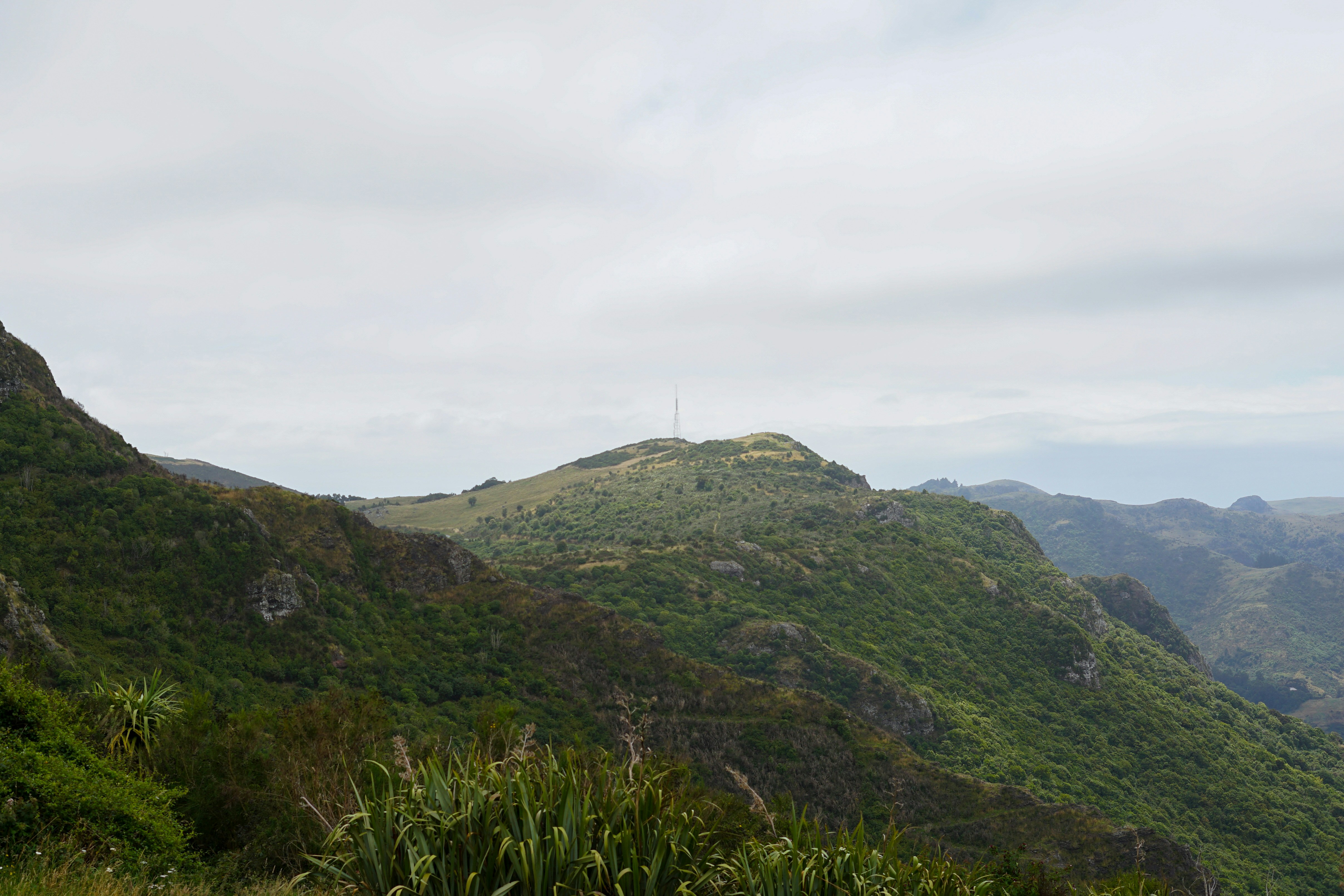 A view of a lush green mountain range