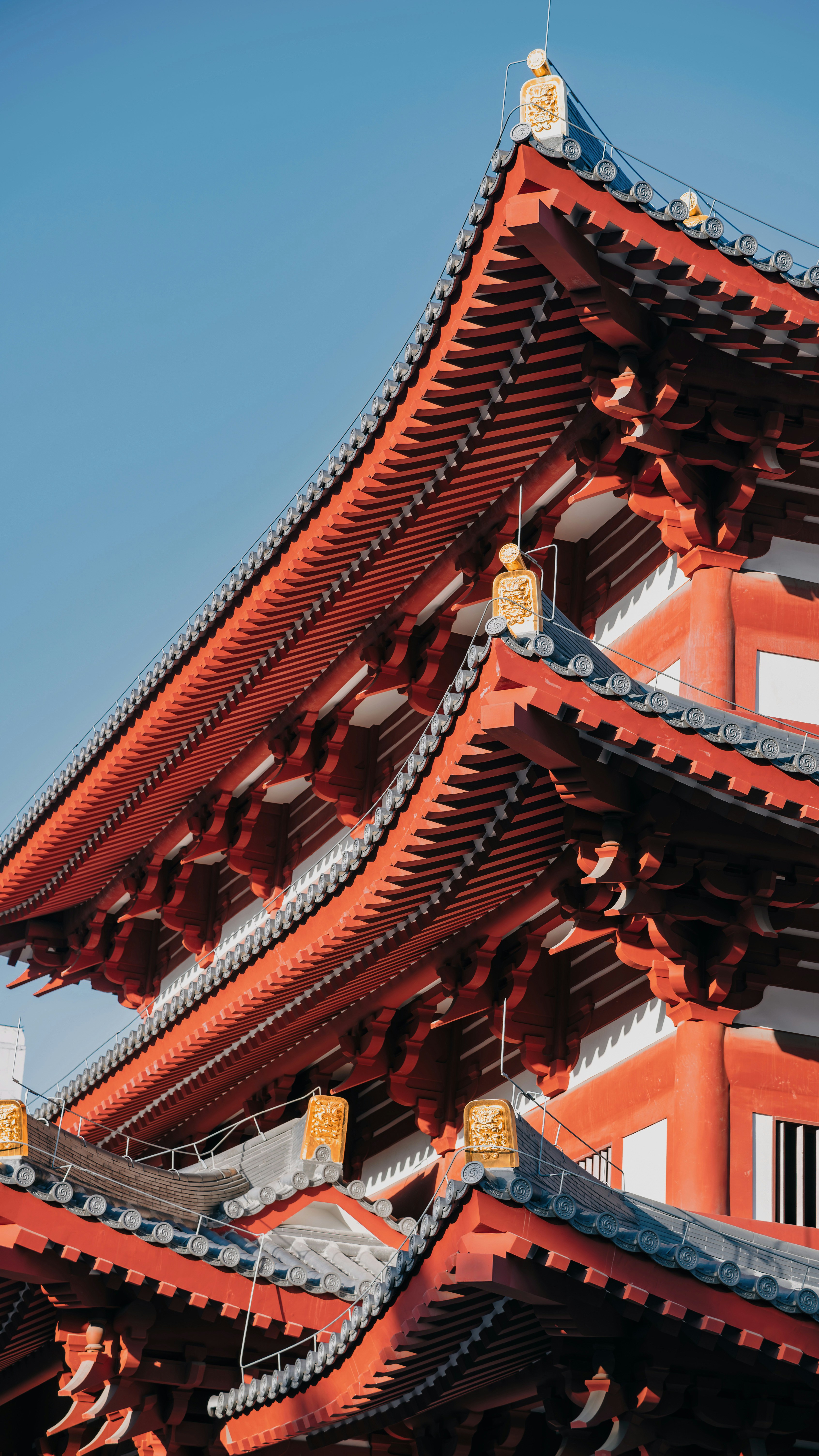 Photo by wangbinghua