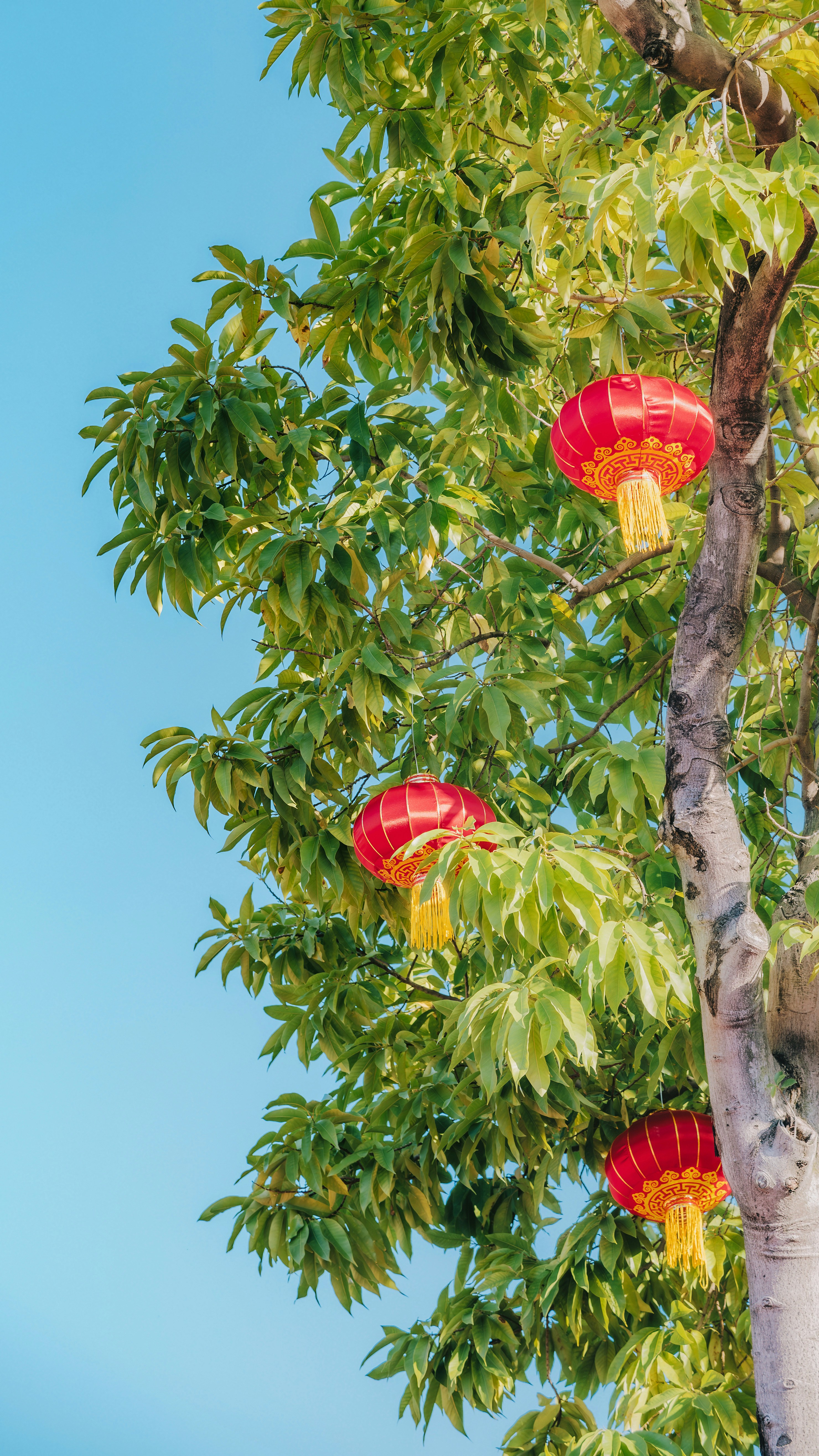 Photo by wangbinghua