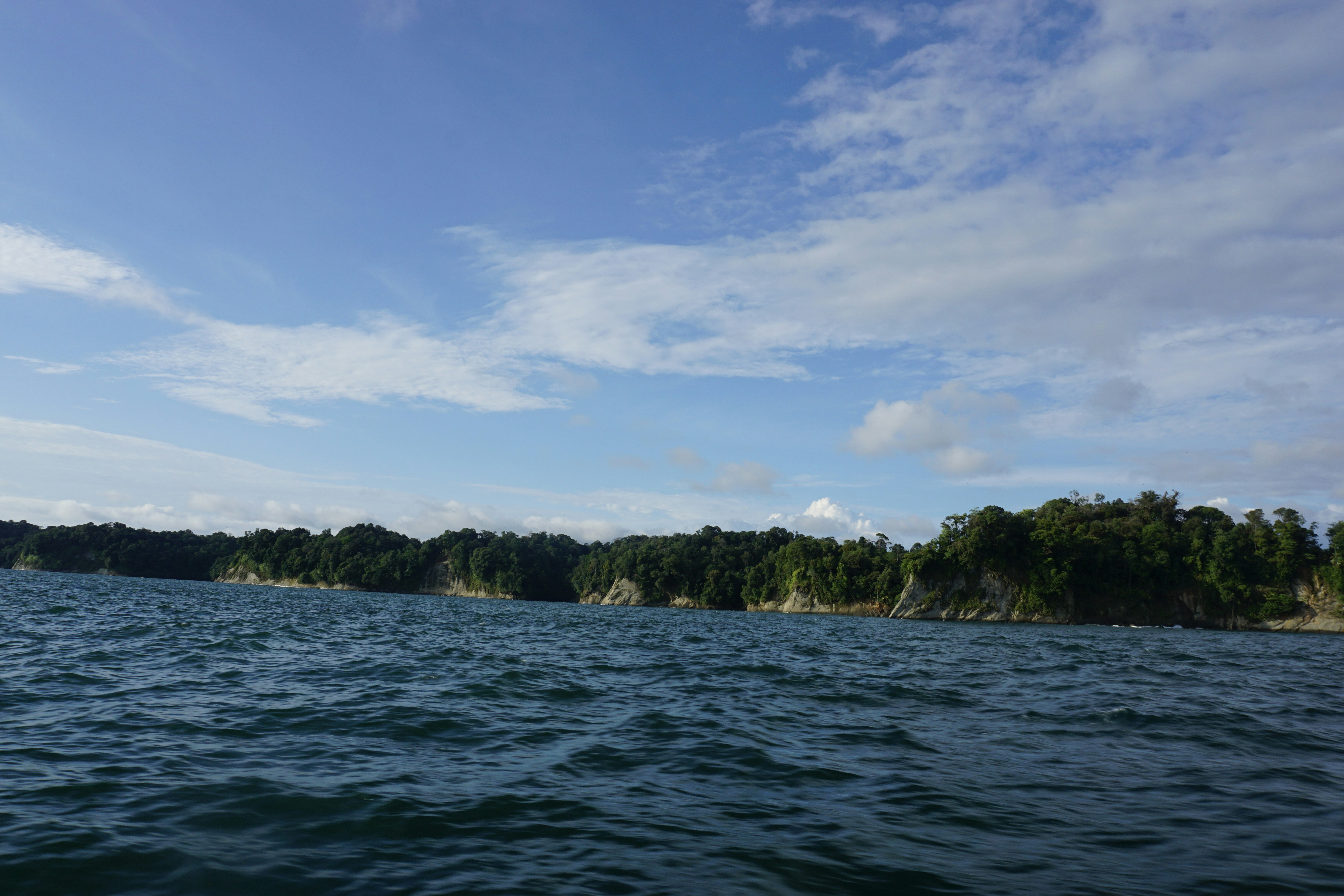 A body of water with trees in the background