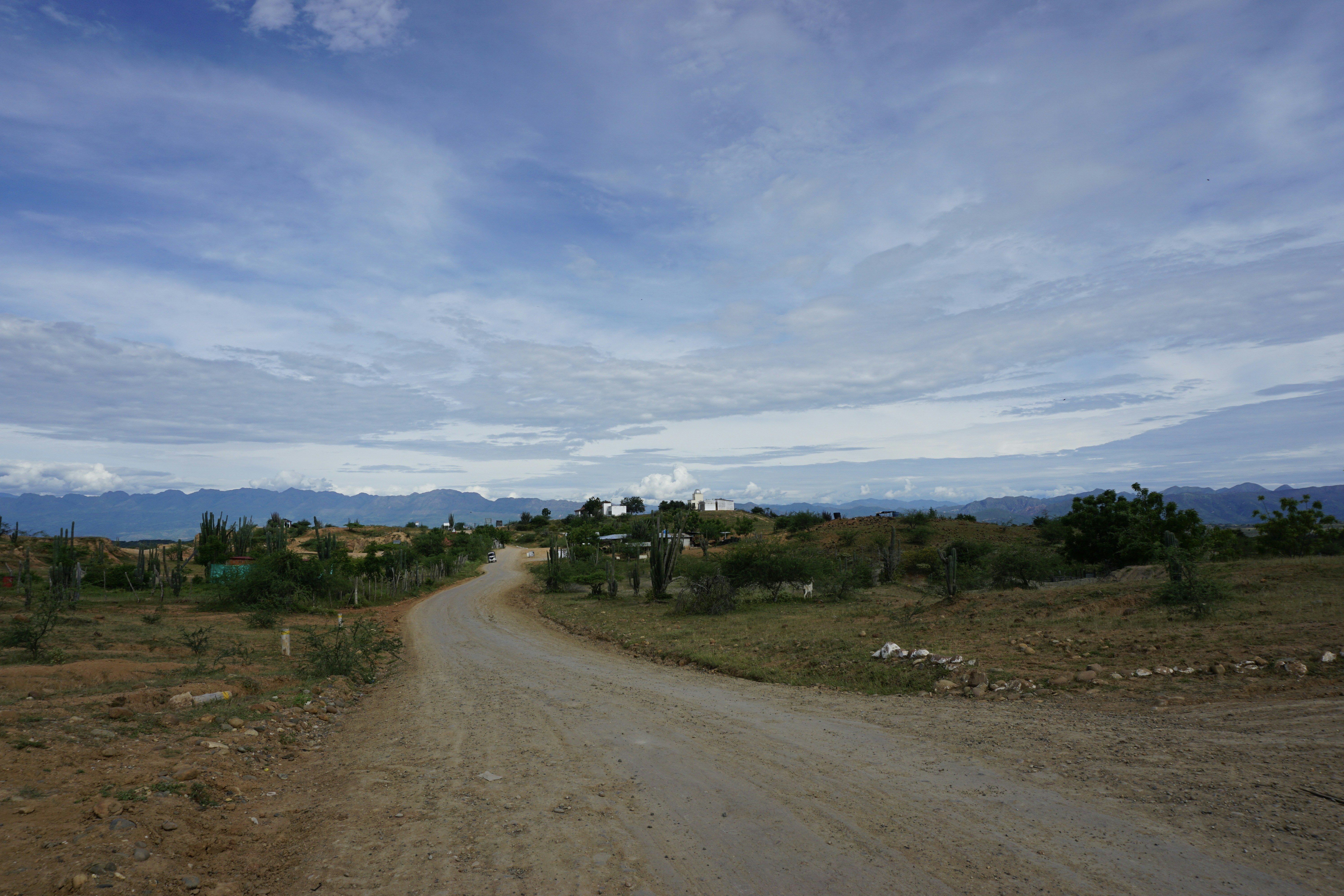 A dirt road in the middle of a field