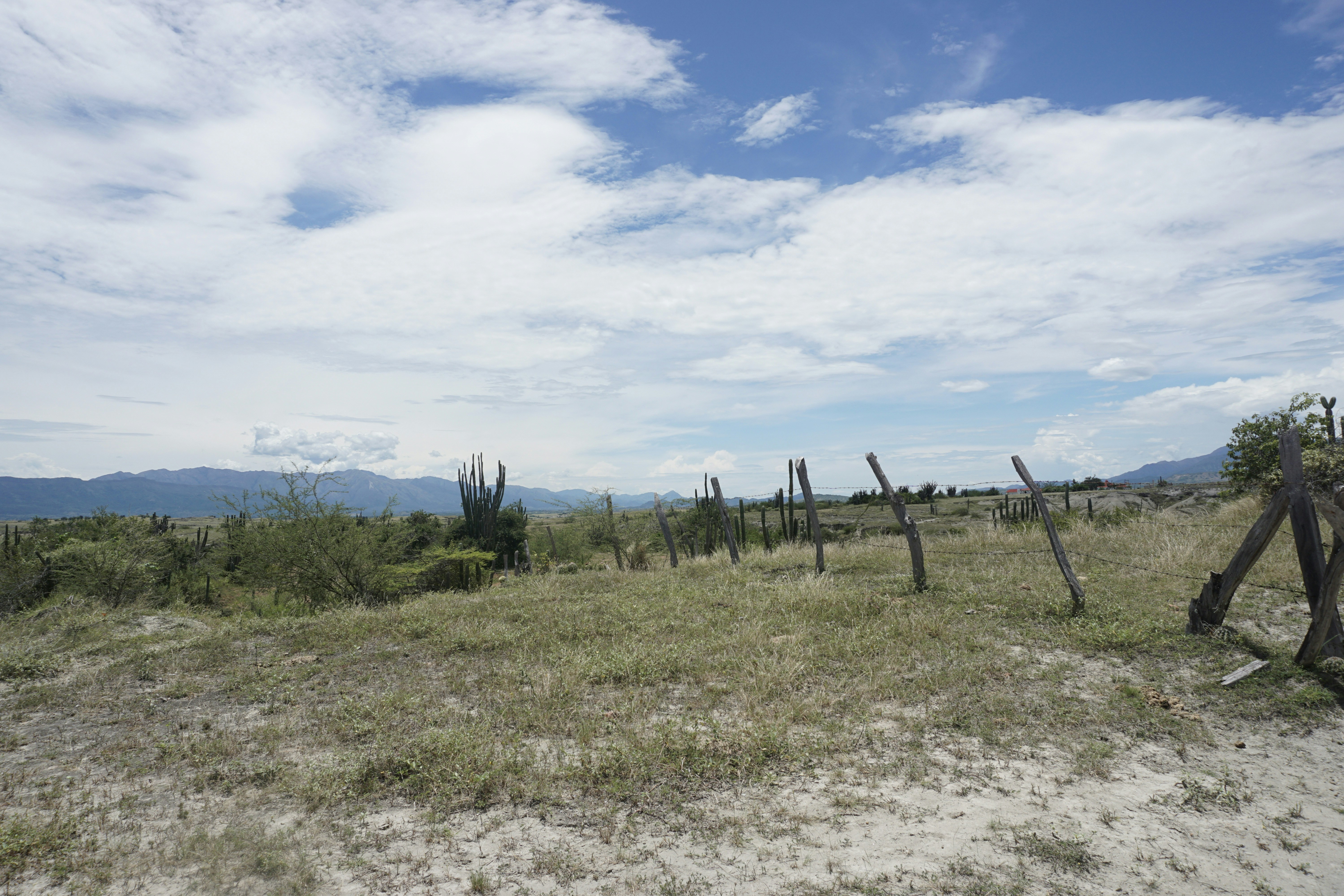 A wooden fence sitting on top of a grass covered field