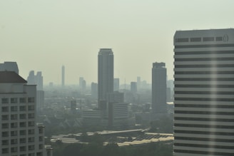 A view of a city from a high rise building