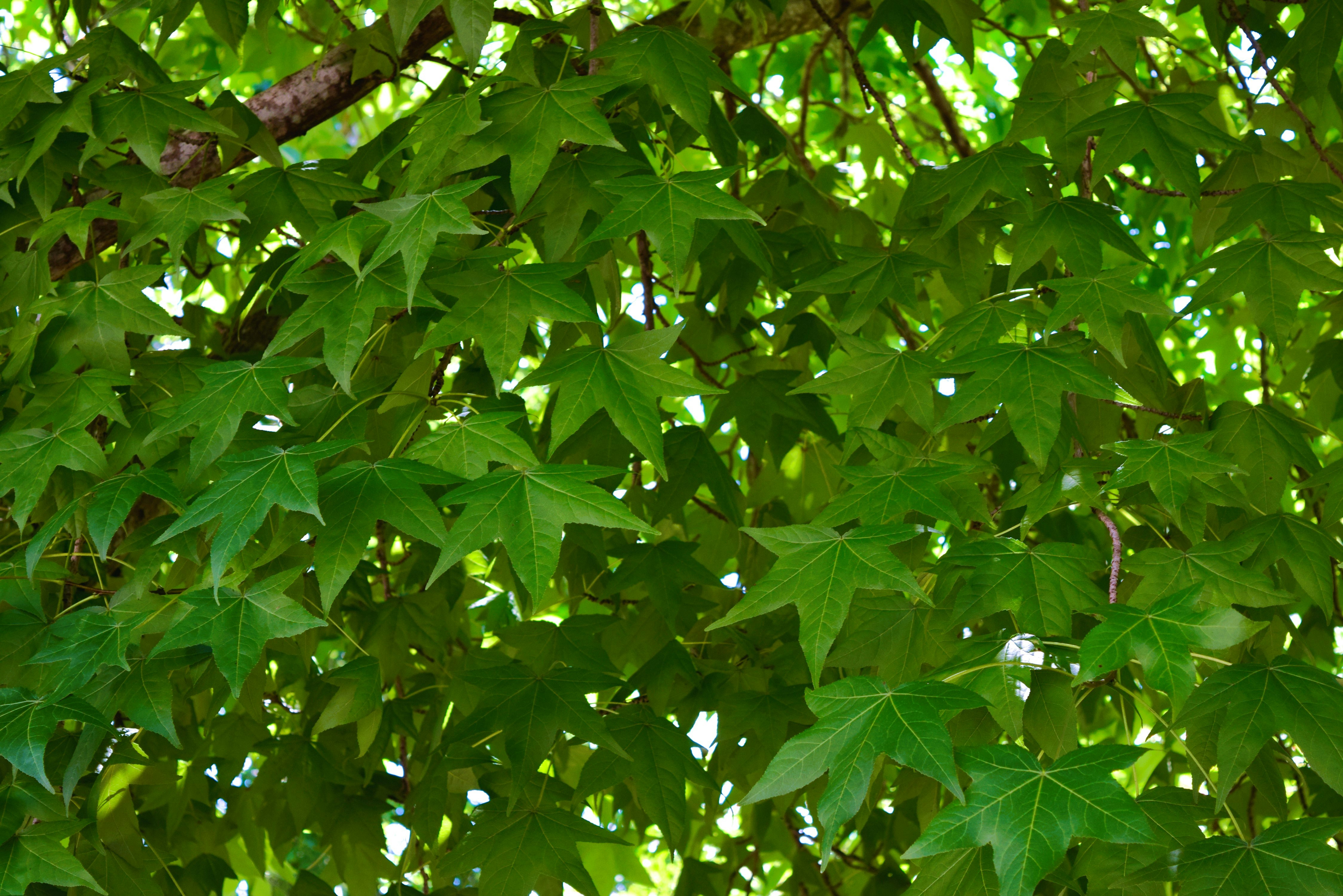 Photo by ch_photography