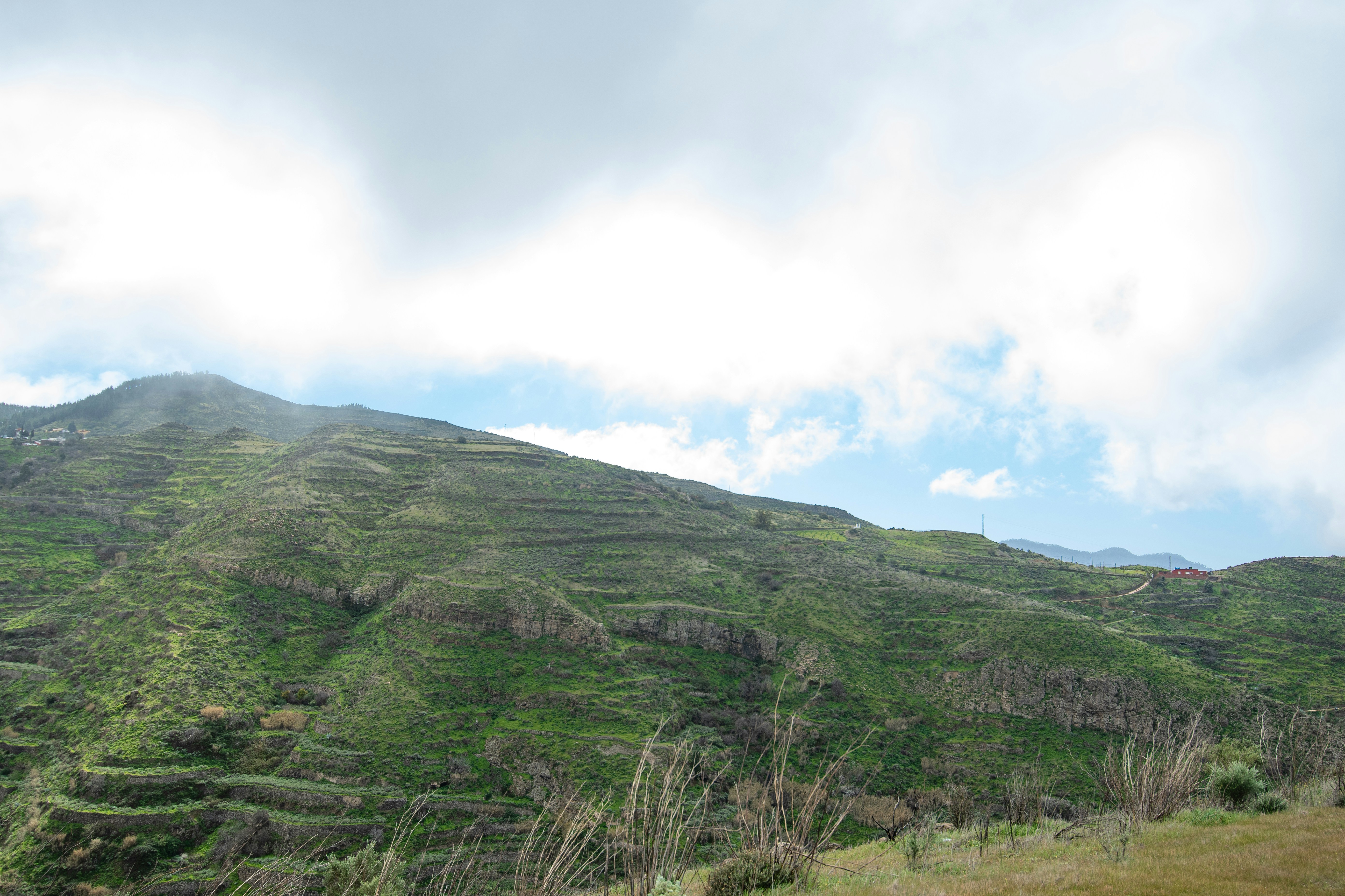 Photo by nataliaraylenegusakova