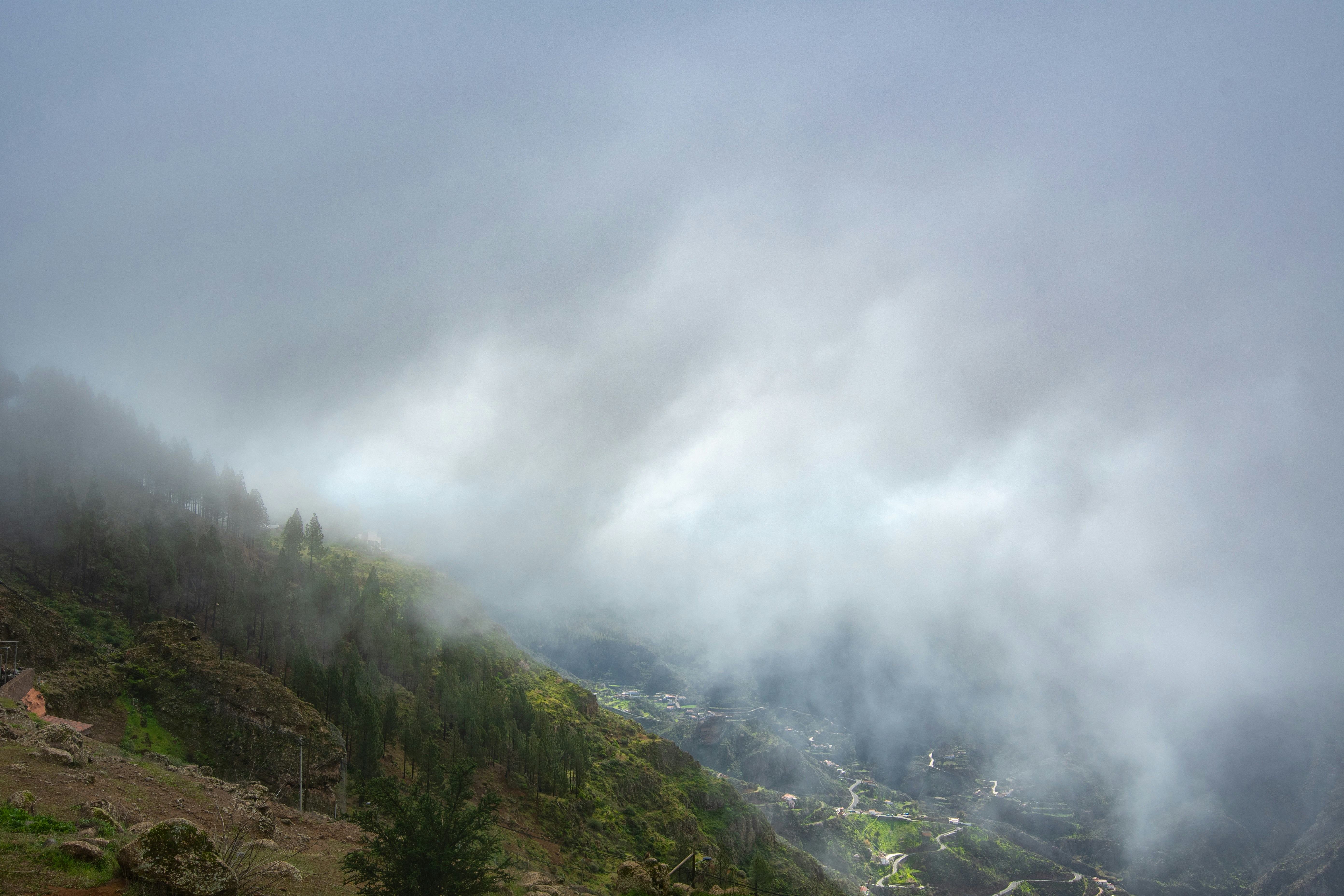 Photo by nataliaraylenegusakova