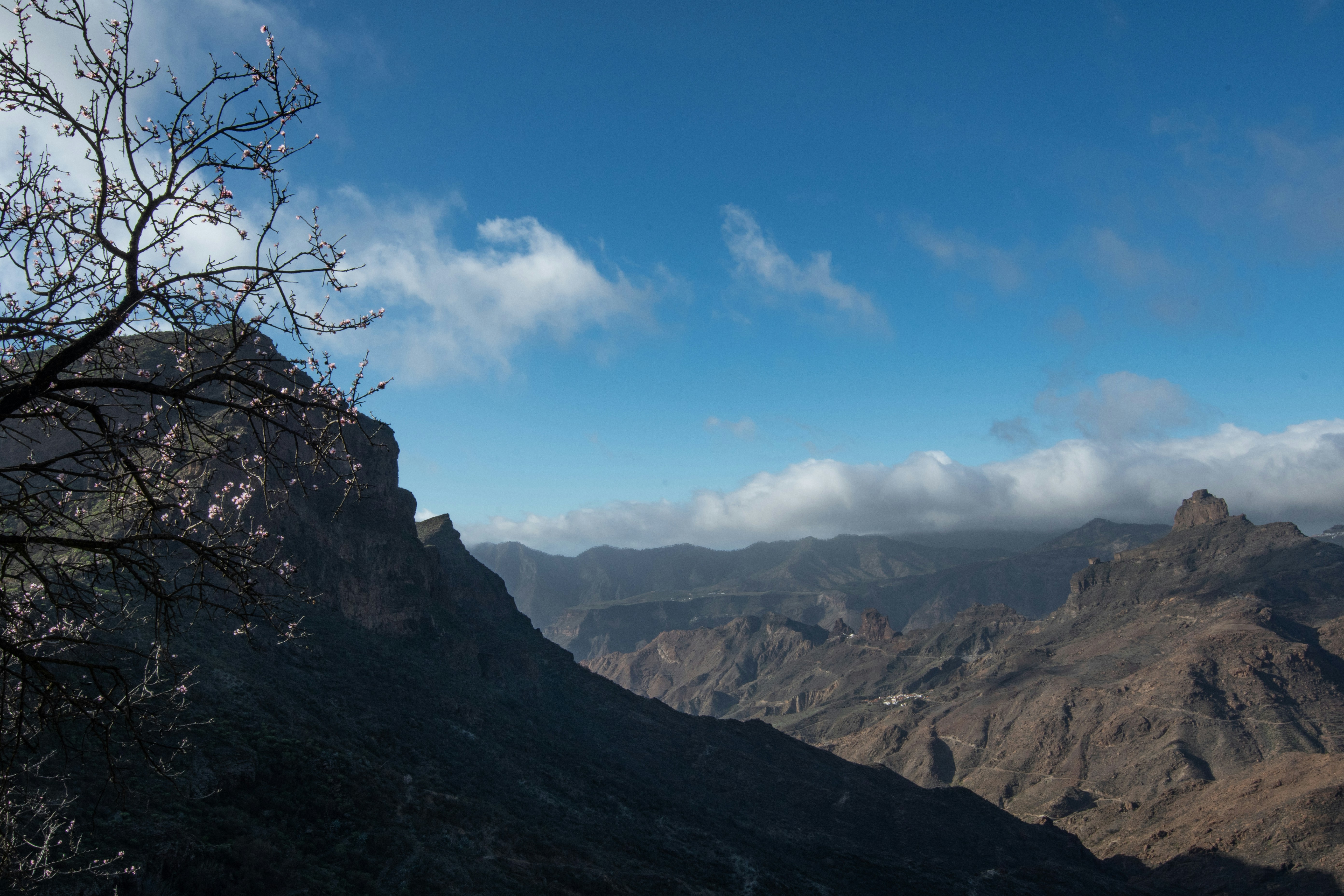 Photo by nataliaraylenegusakova