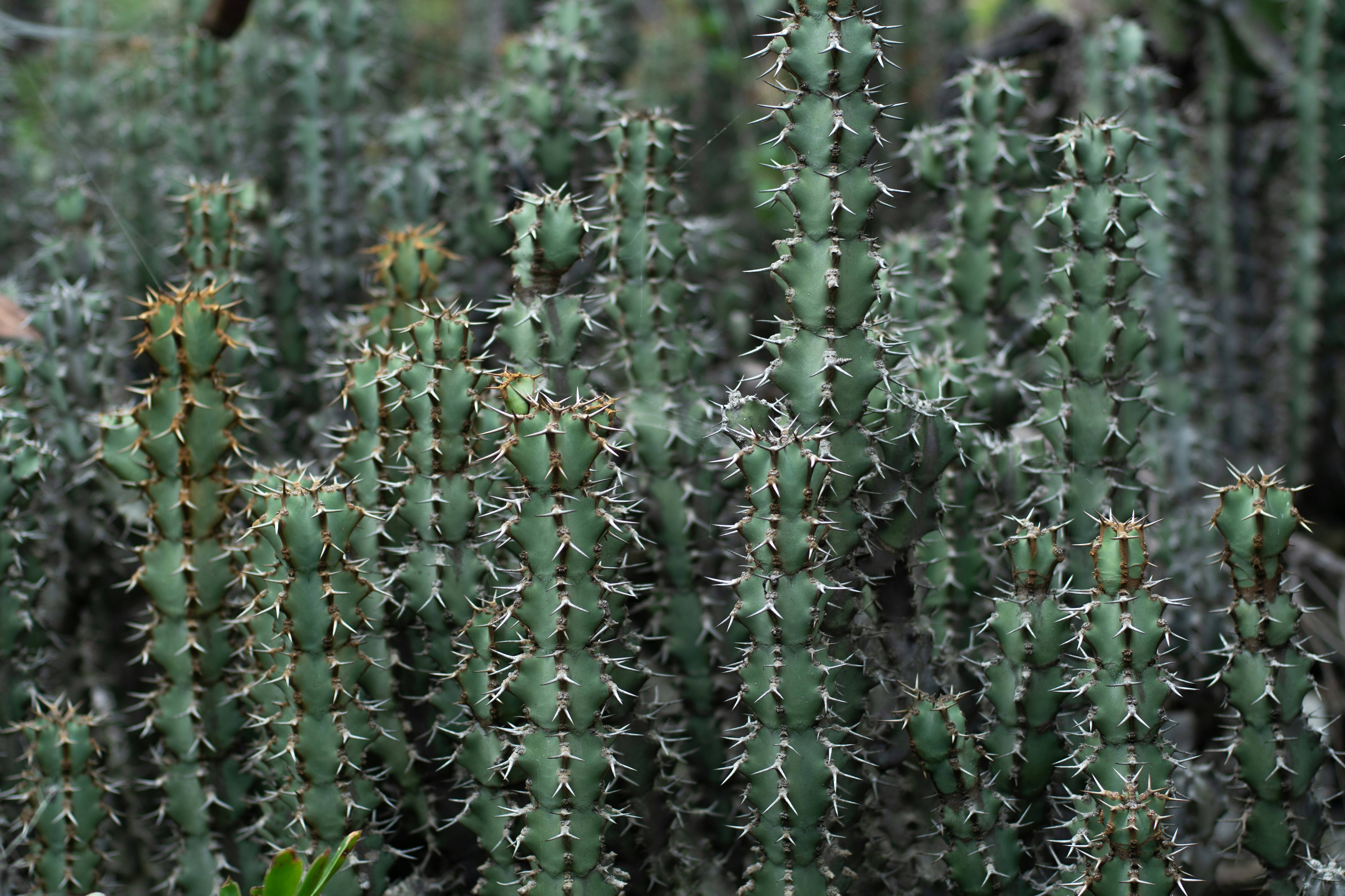 Photo by nataliaraylenegusakova