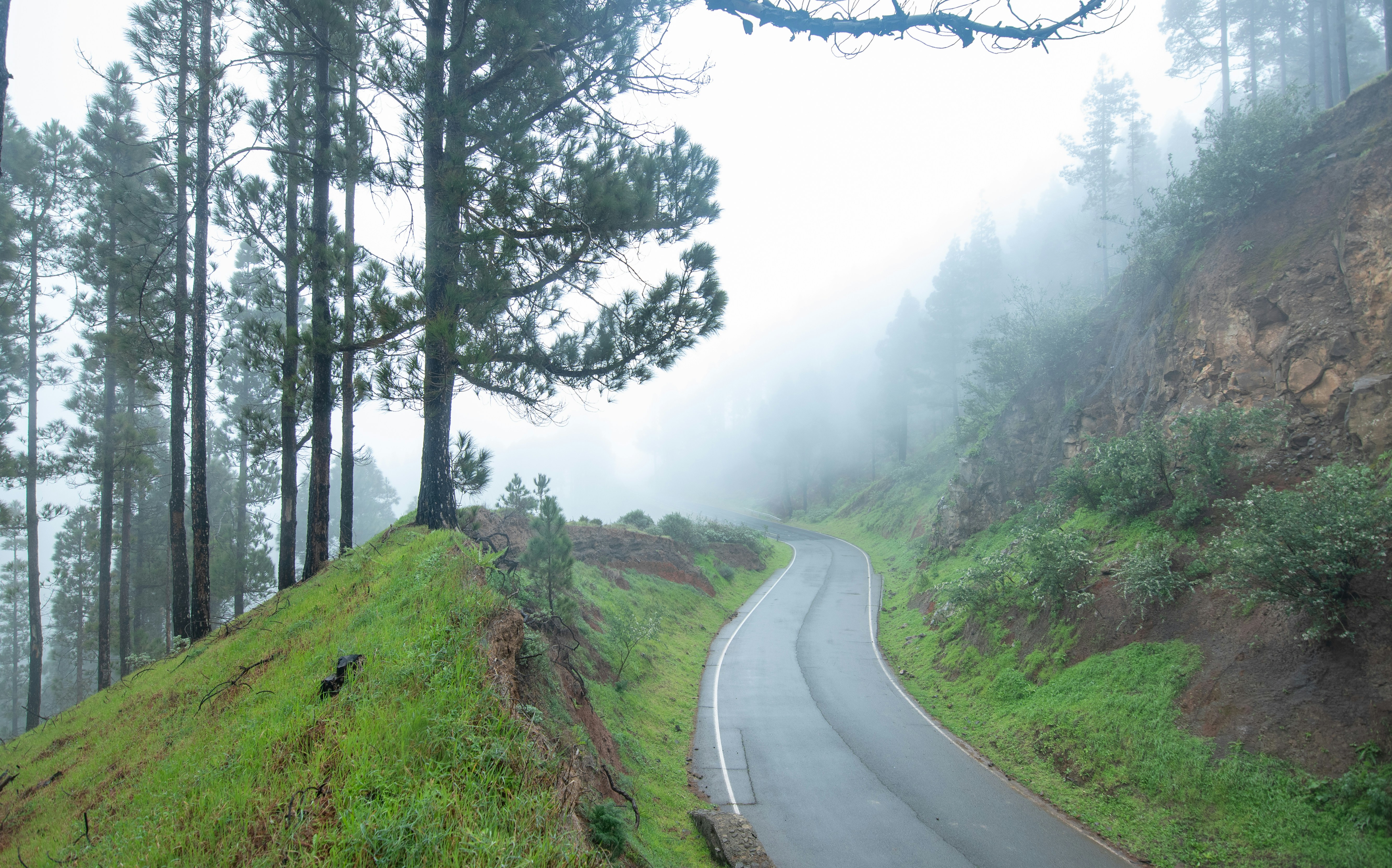 Photo by nataliaraylenegusakova