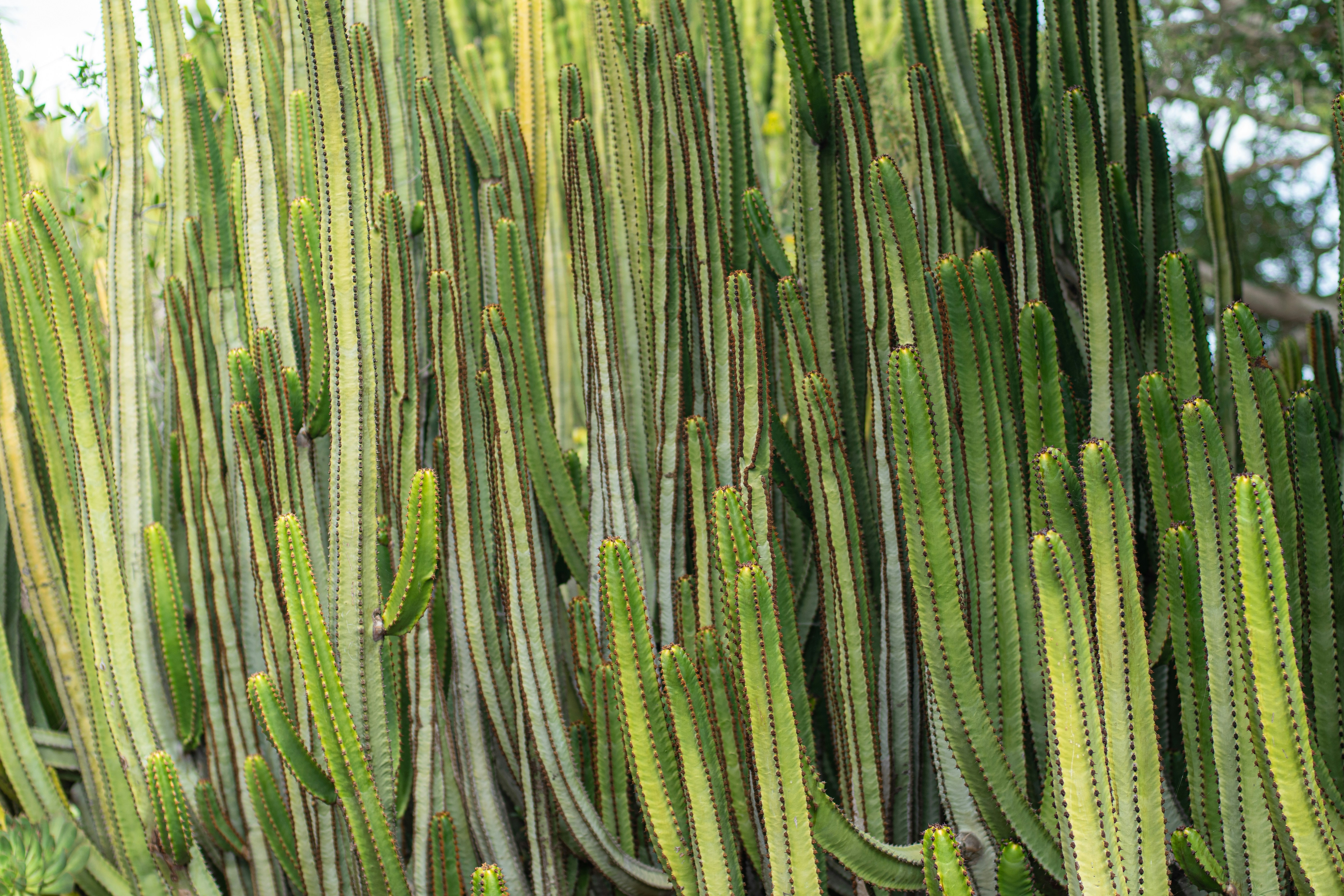 Photo by nataliaraylenegusakova