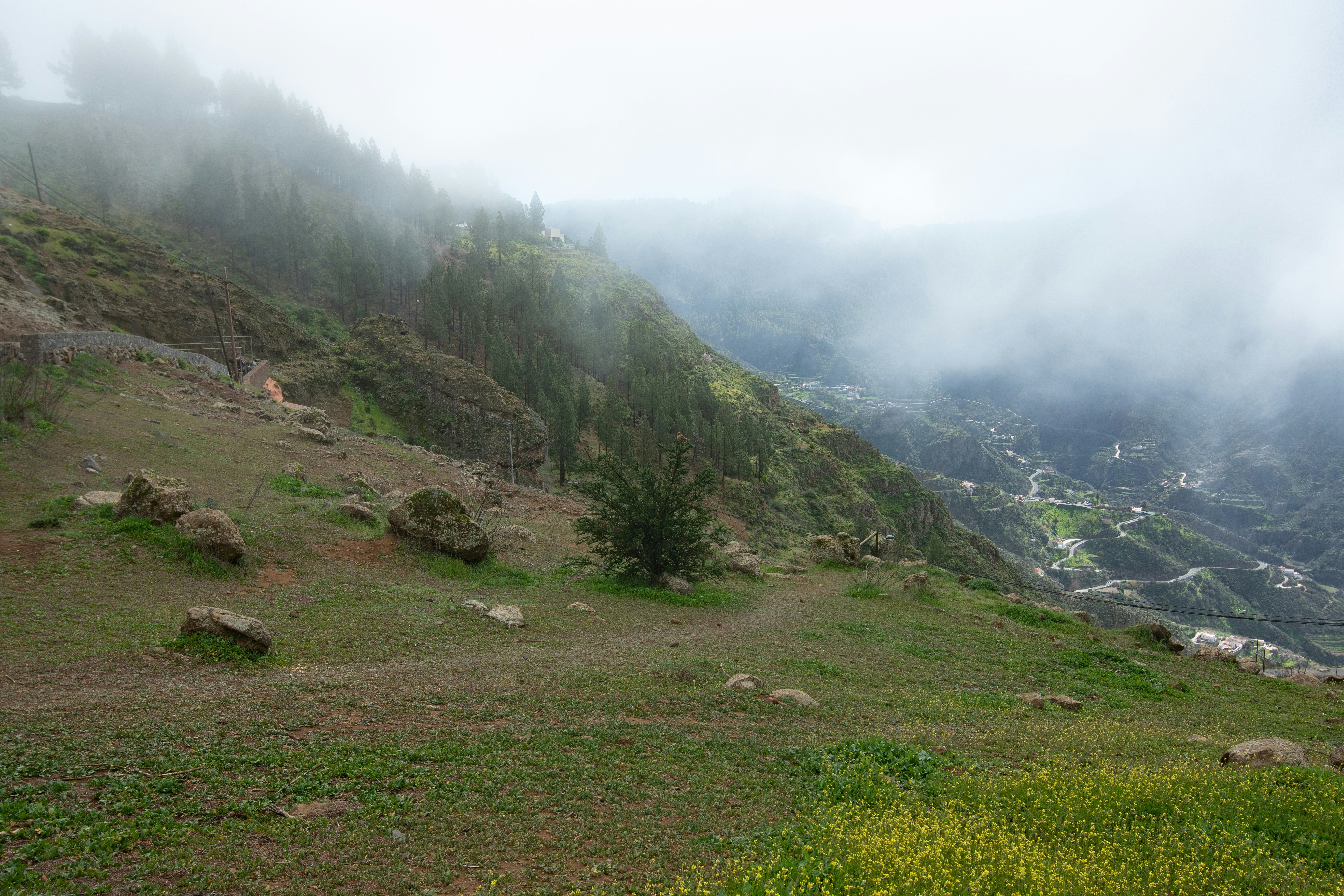 Photo by nataliaraylenegusakova