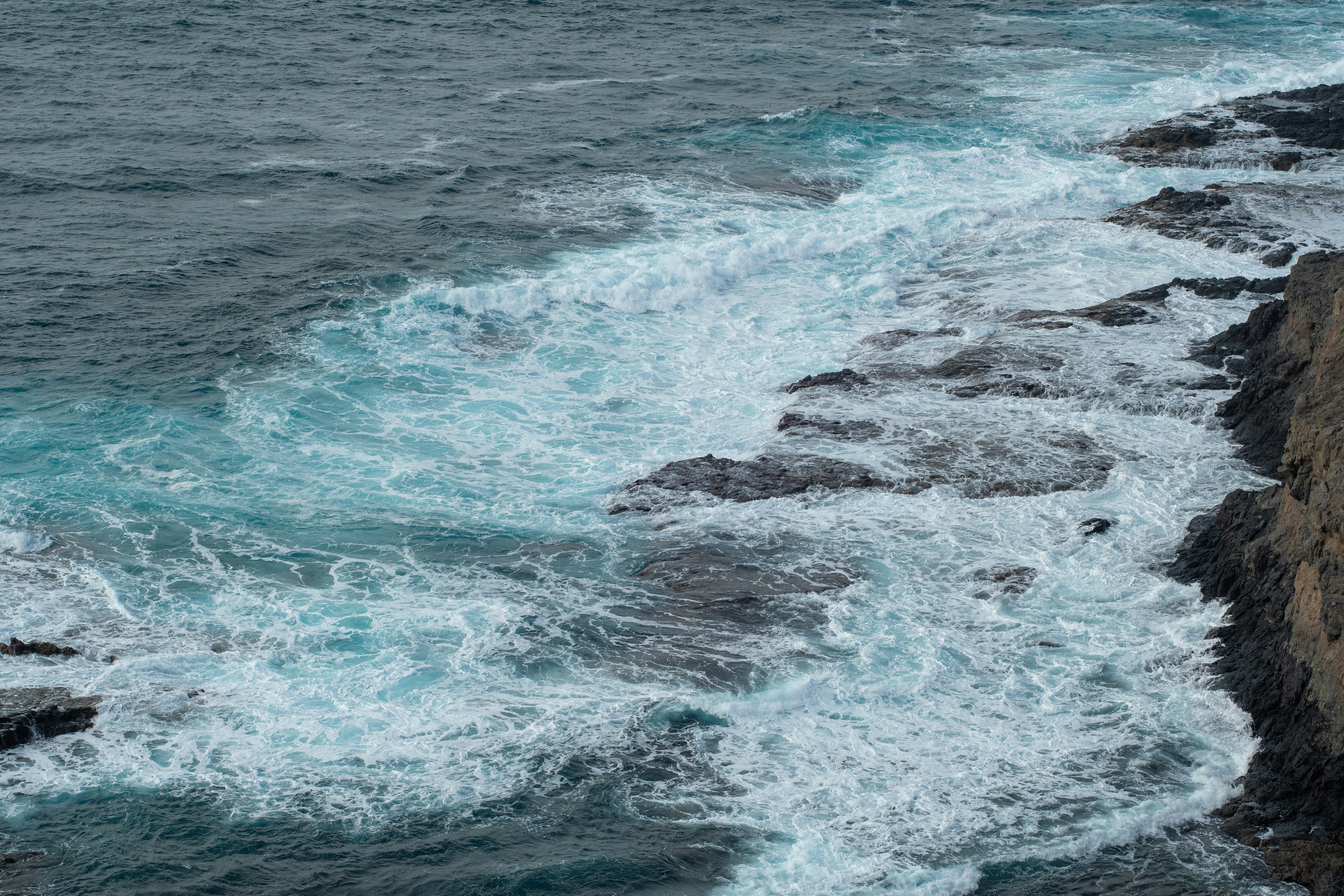 Photo by nataliaraylenegusakova