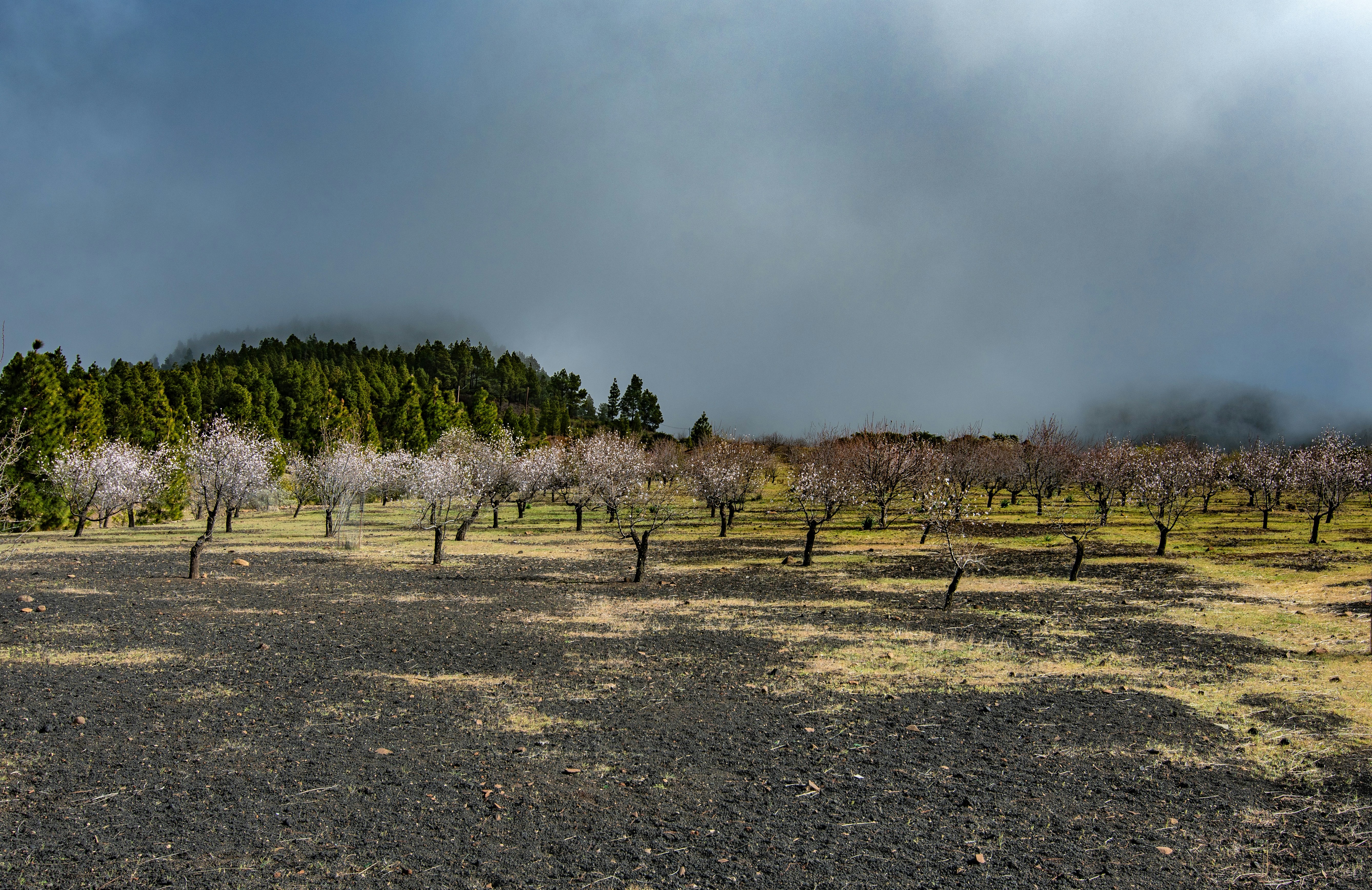Photo by nataliaraylenegusakova