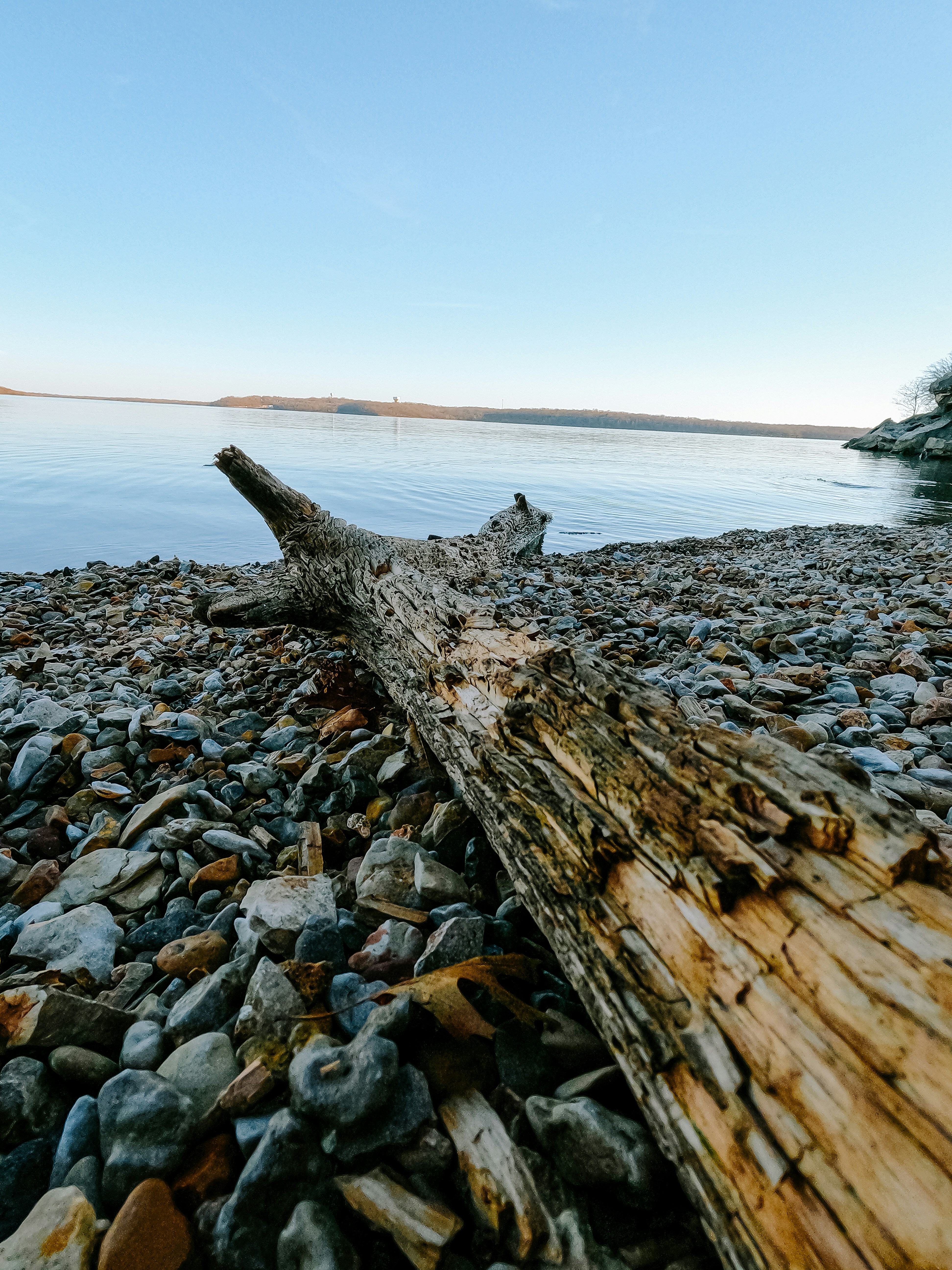 Photo by price_photo