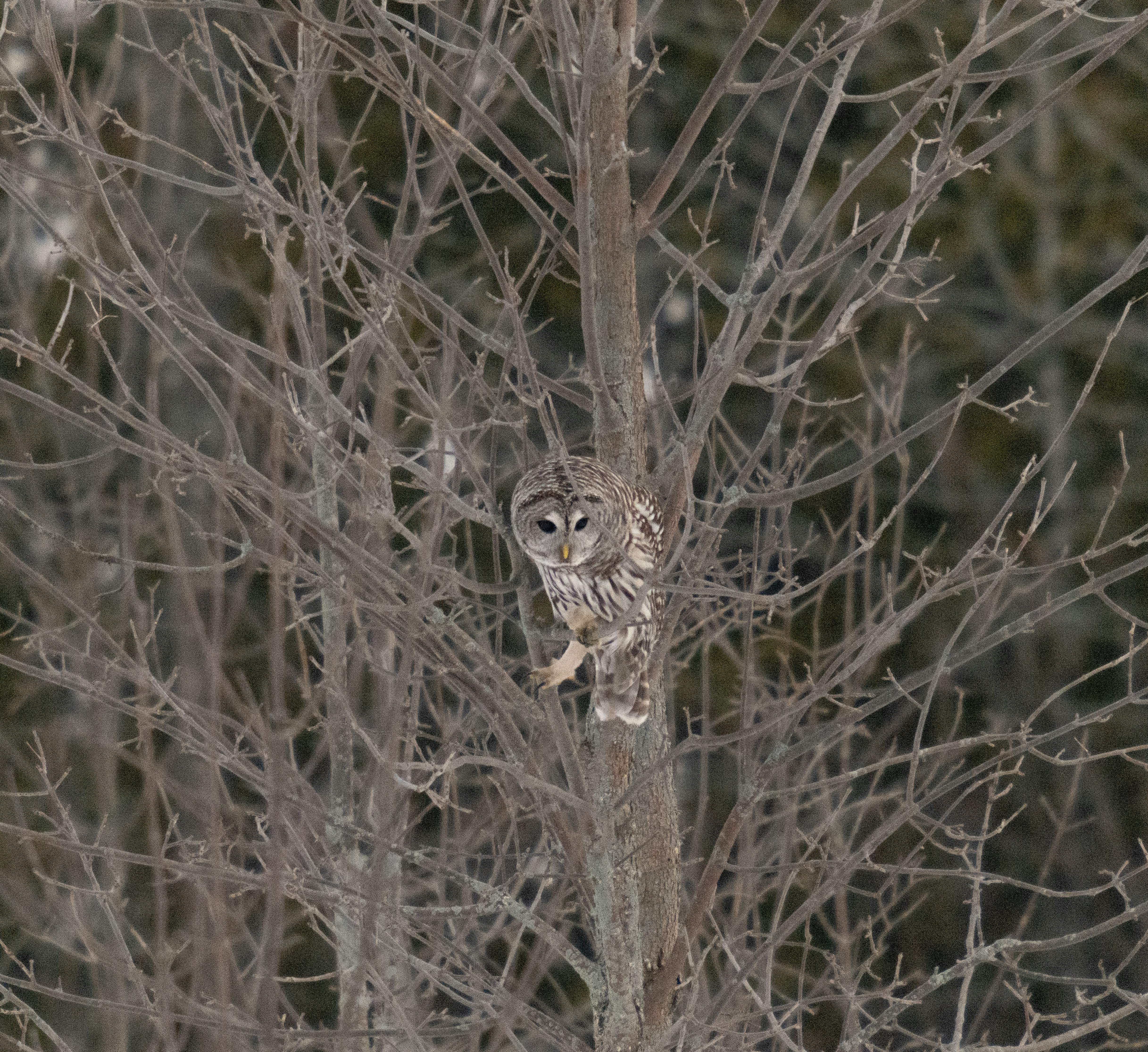 Photo by huntermastersmusic