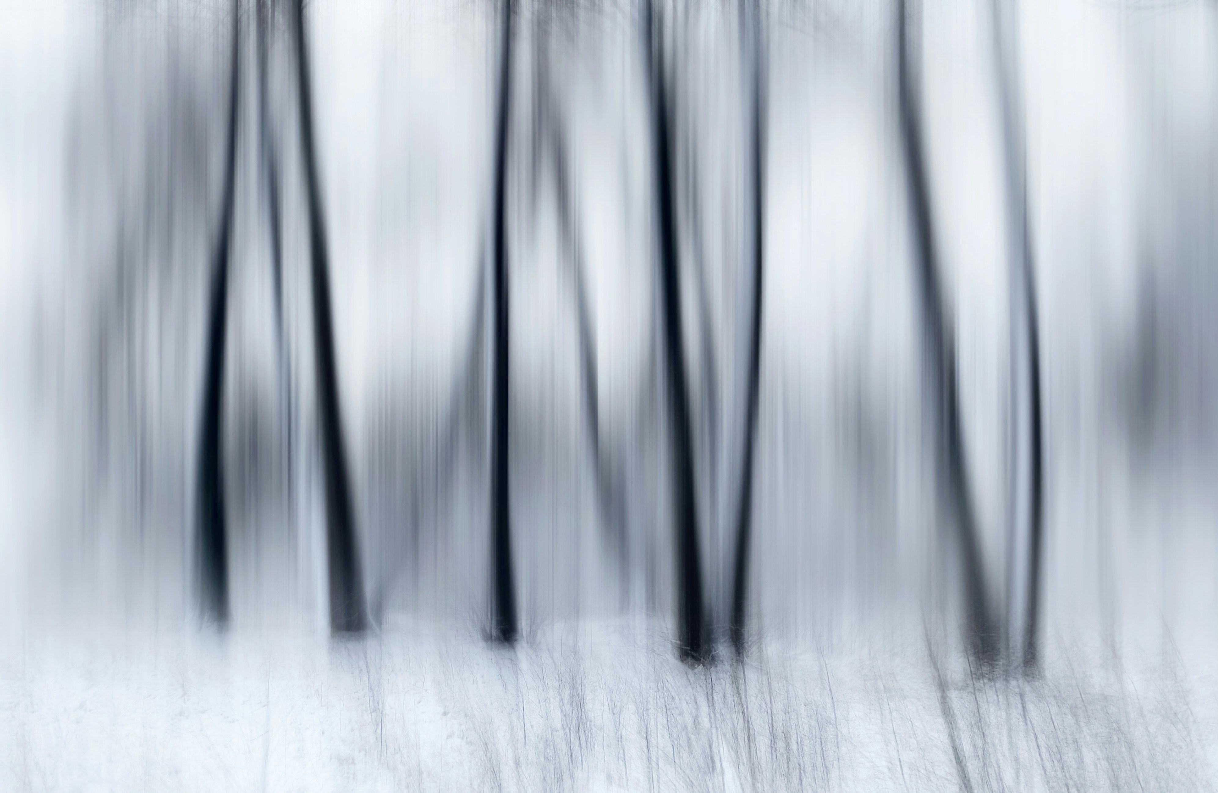 Photo by eugene_golovesov