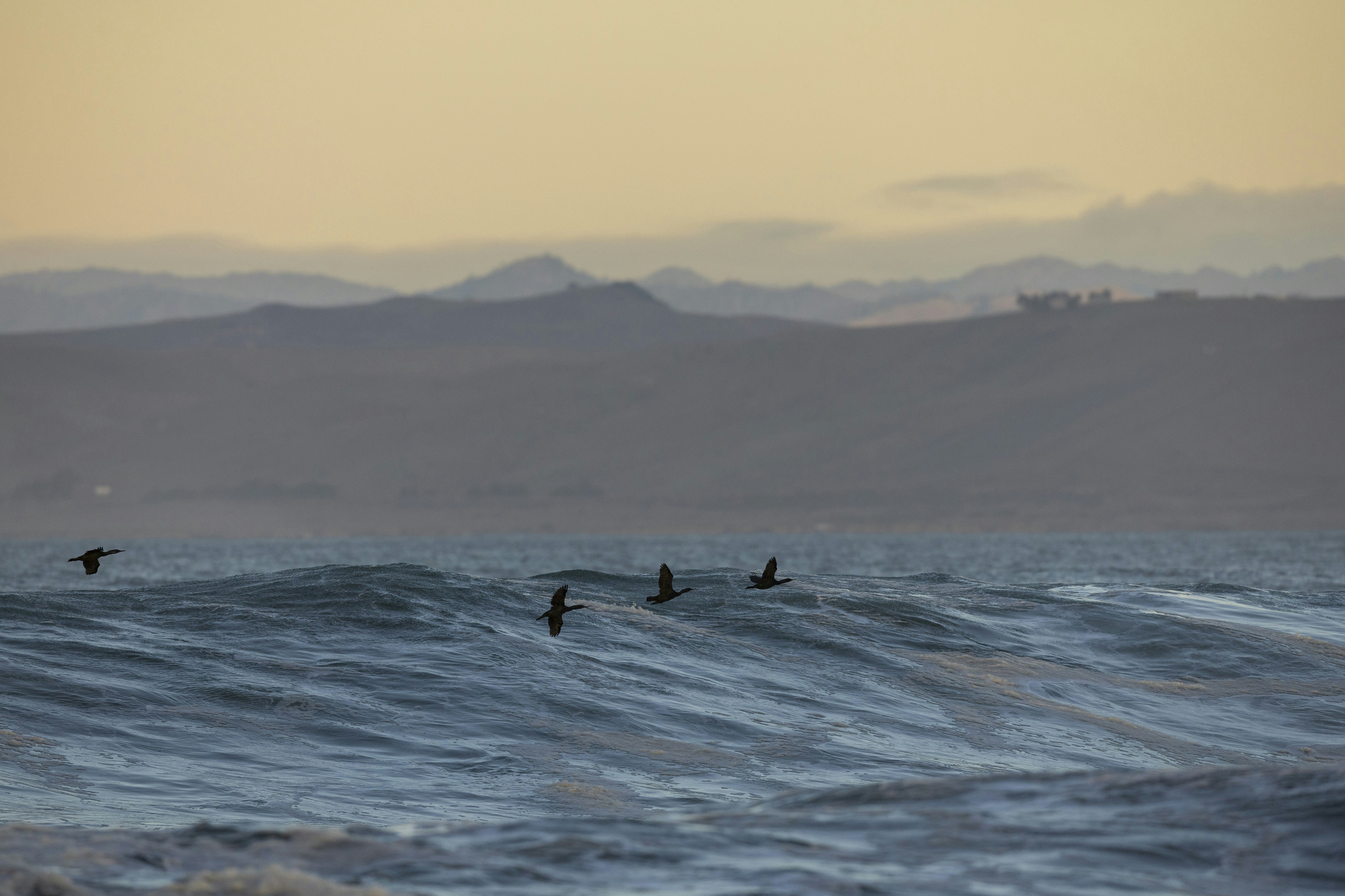 Photo by leo_visions_