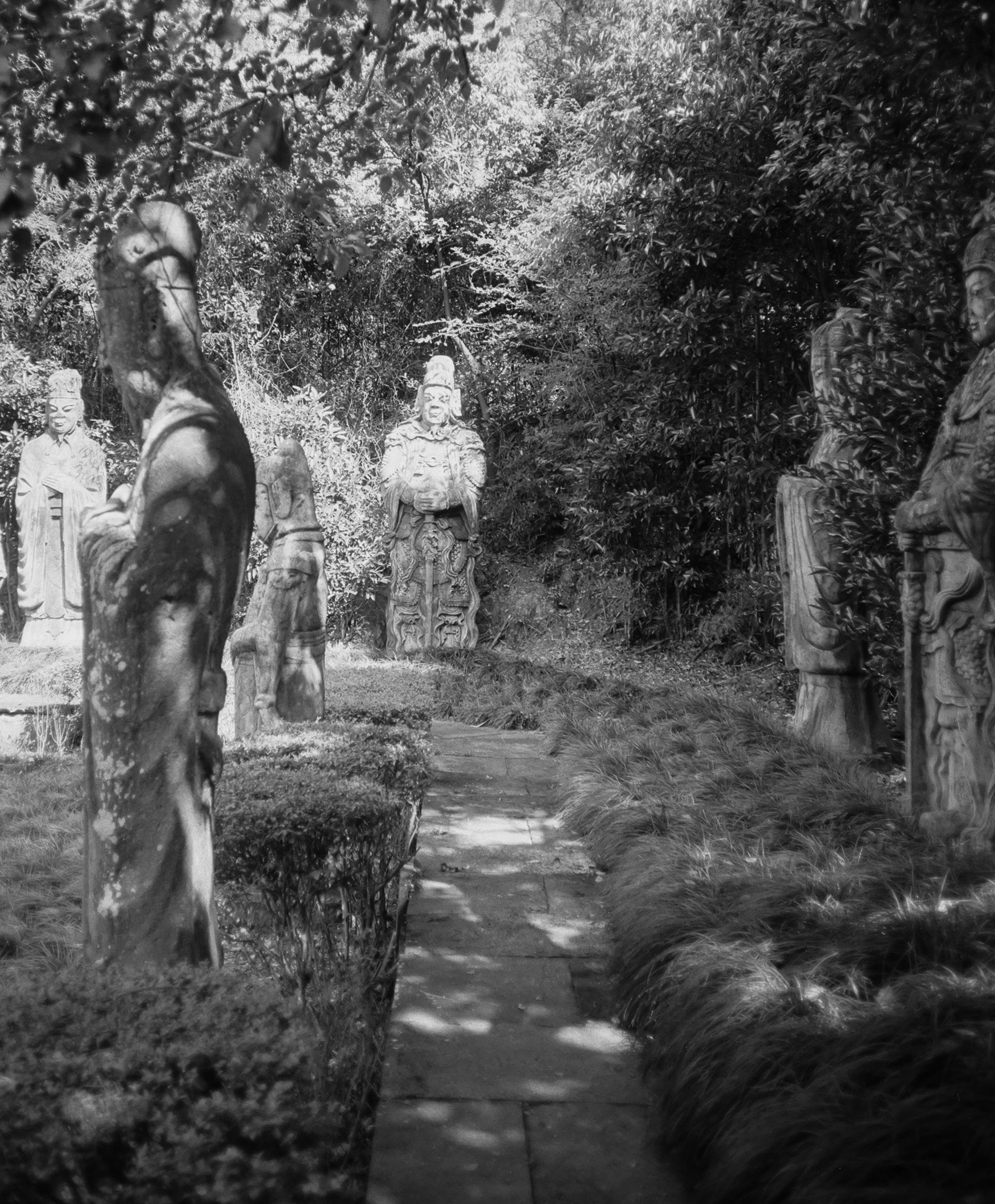 Photo by geraltyichen