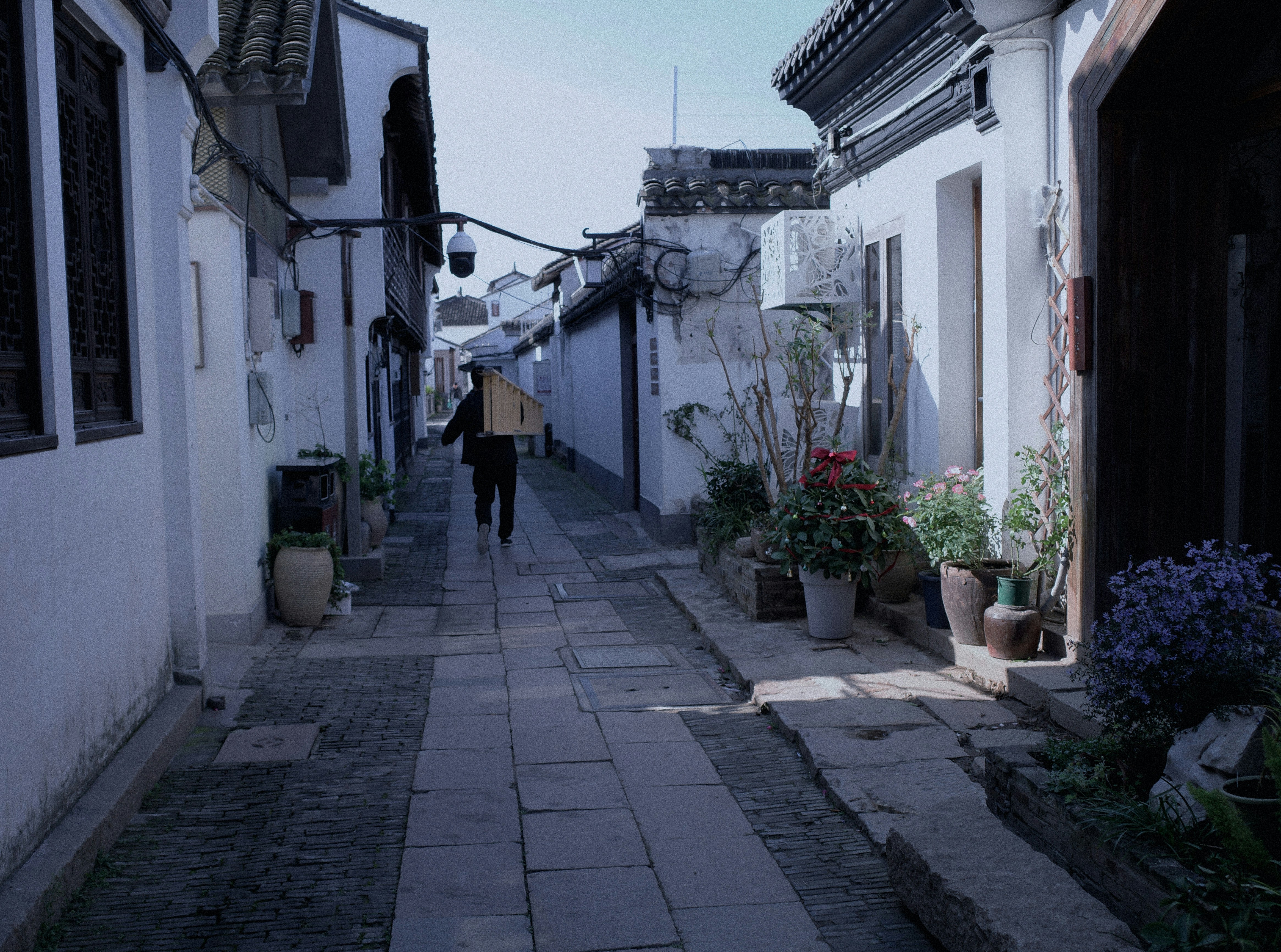 Photo by geraltyichen