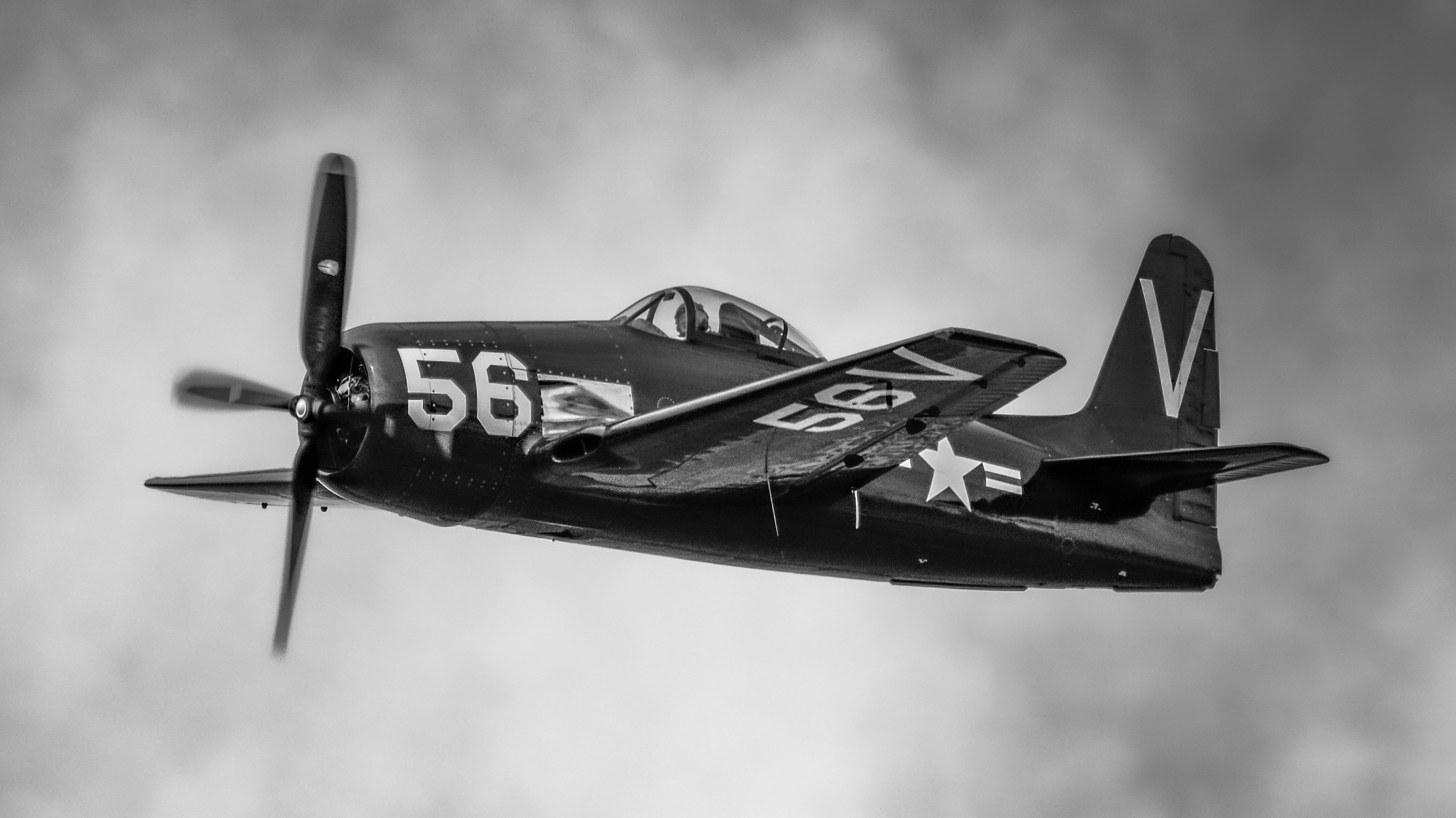 Photo by ccausse_images