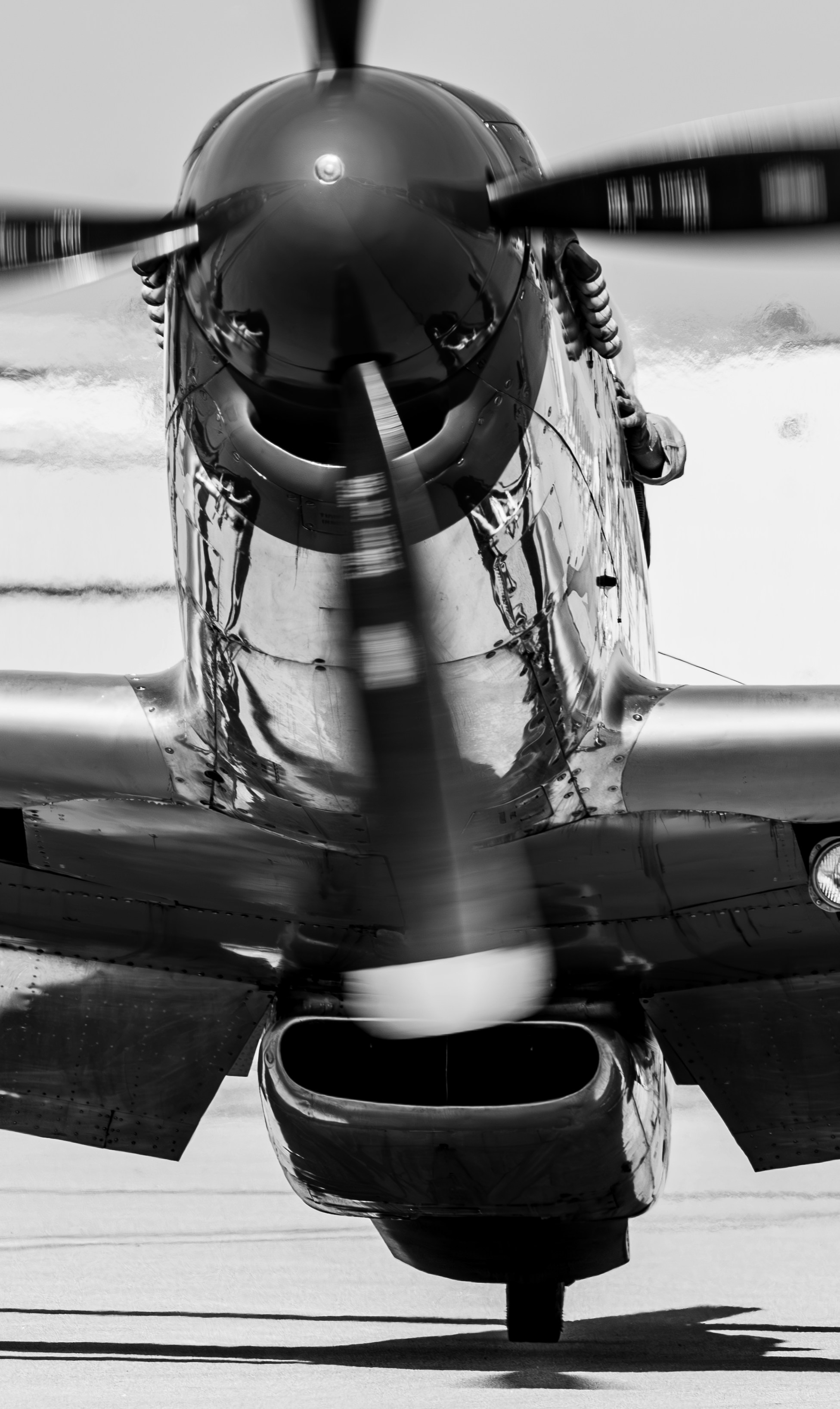 Photo by ccausse_images