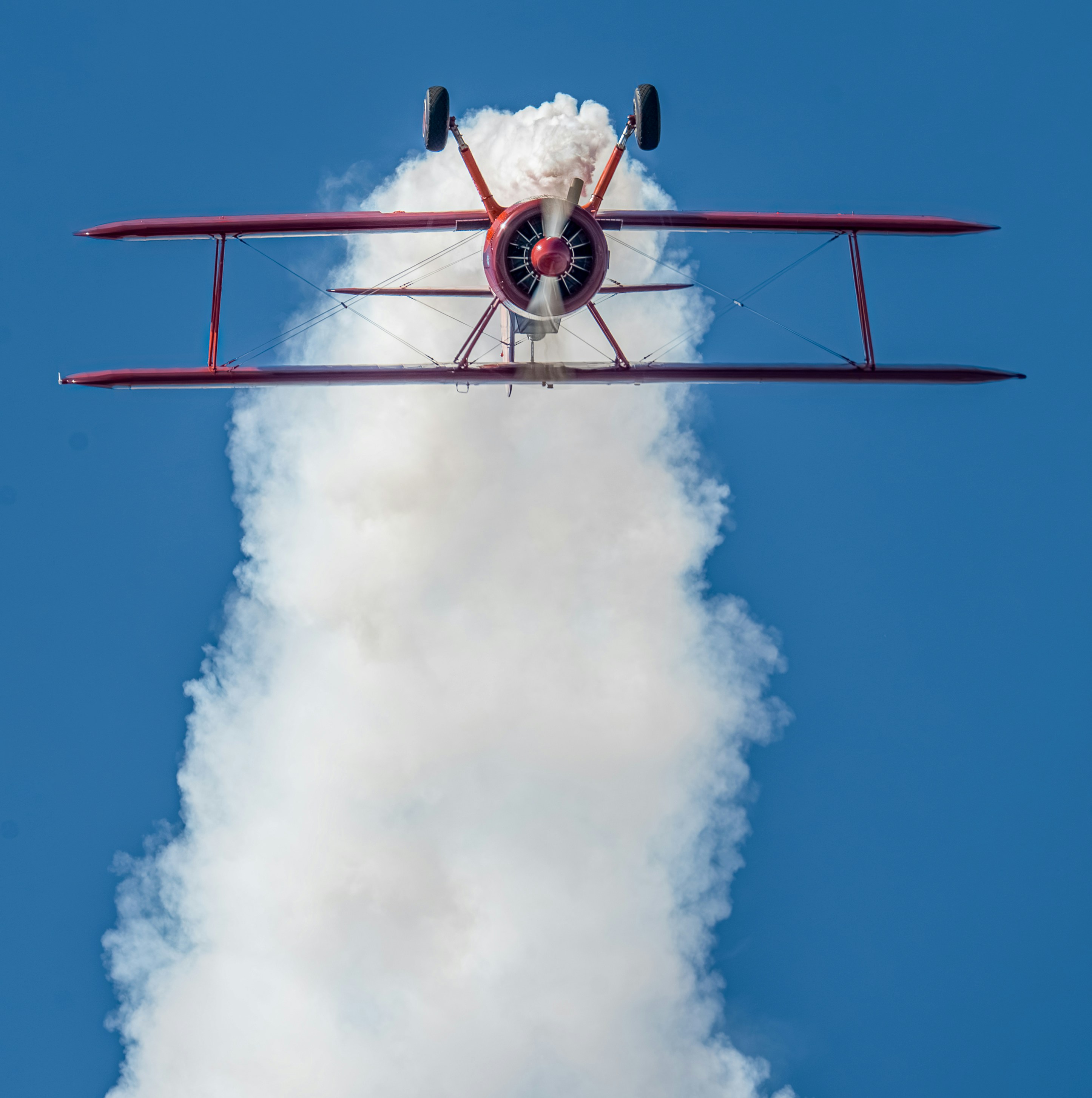 Photo by ccausse_images