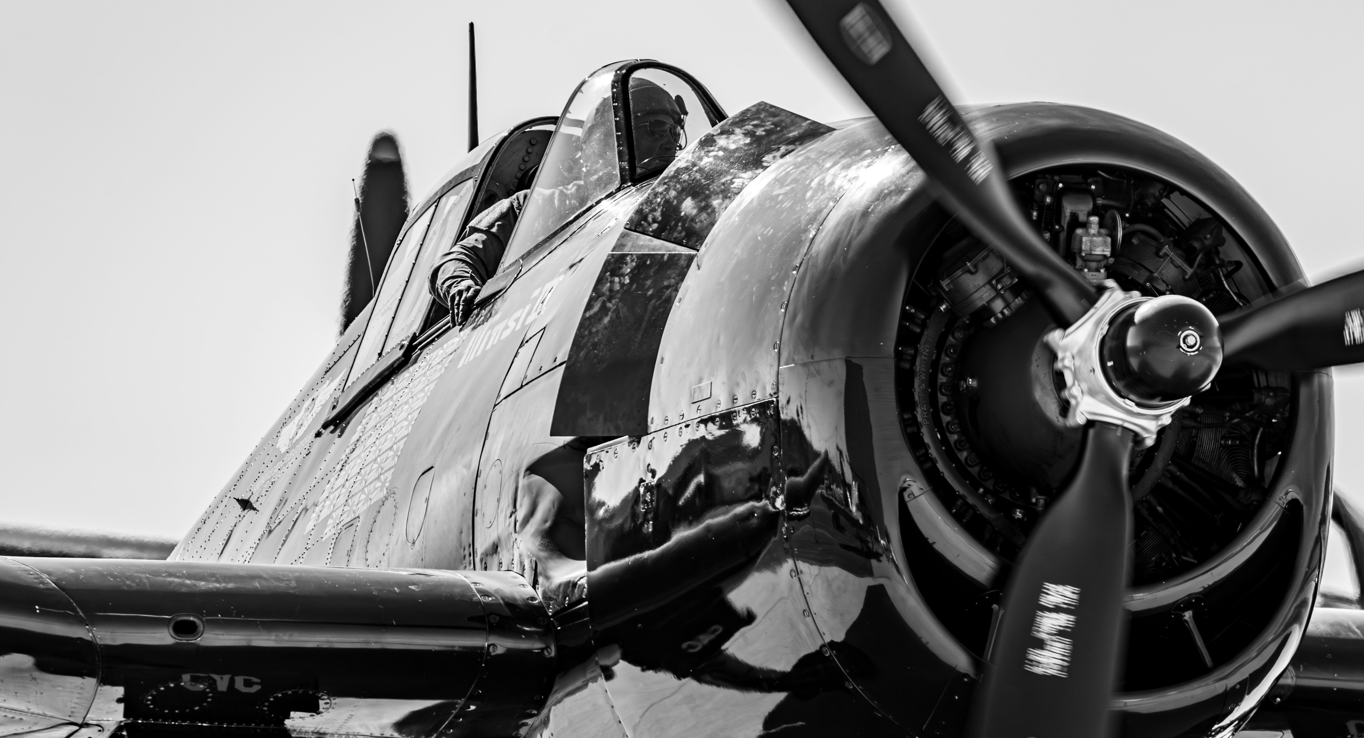 Photo by ccausse_images