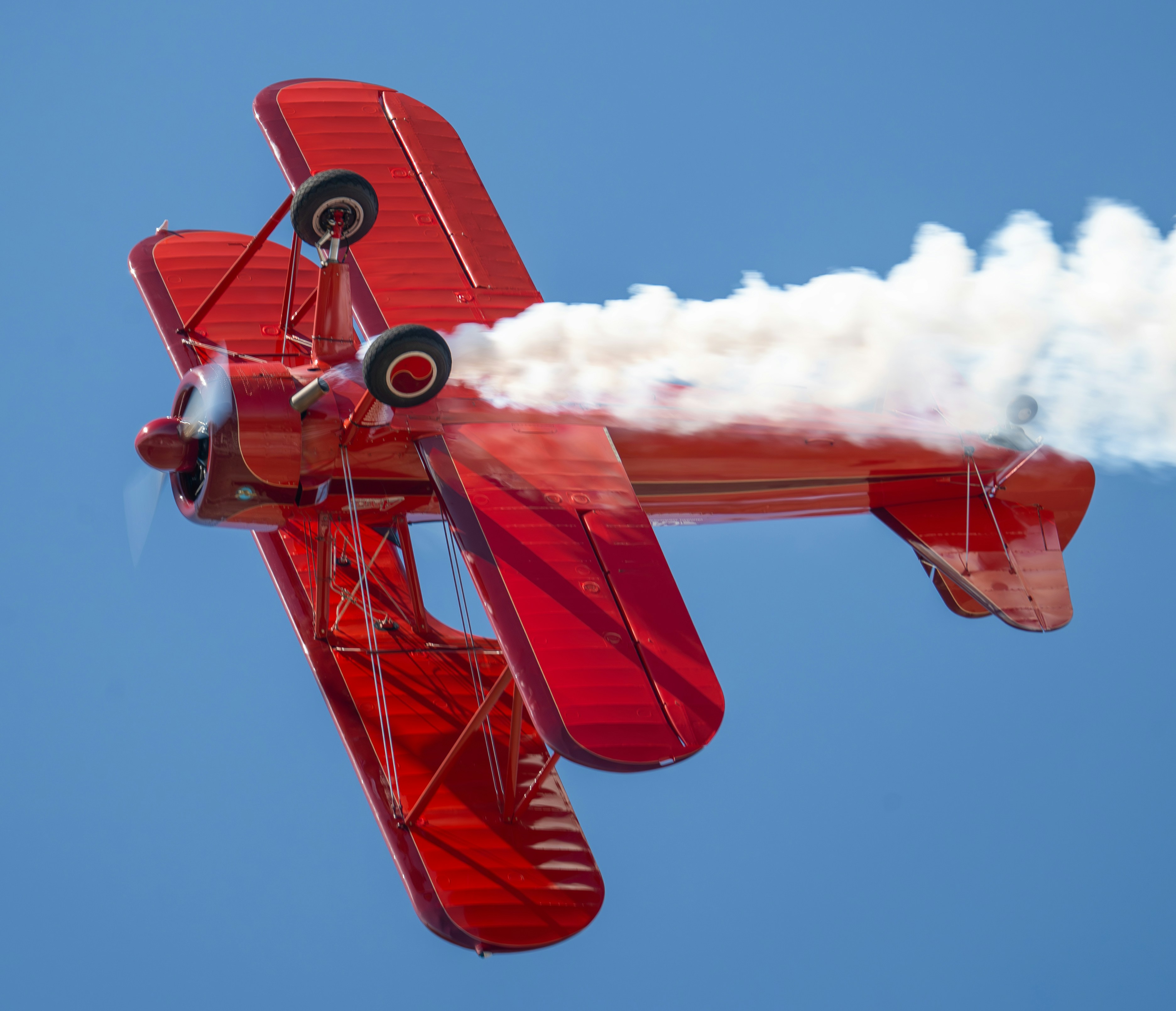 Photo by ccausse_images