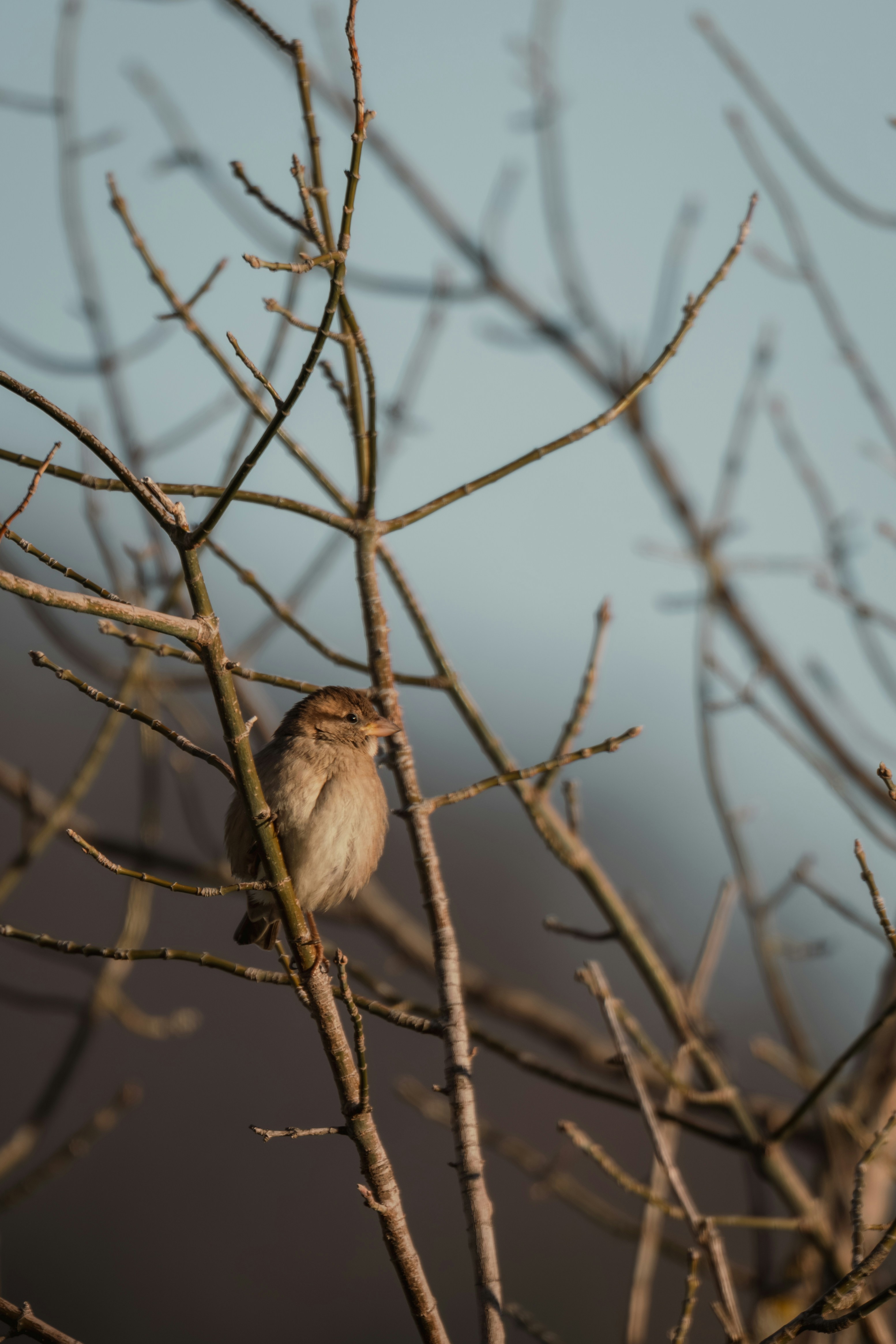 Photo by ahmetyuksek