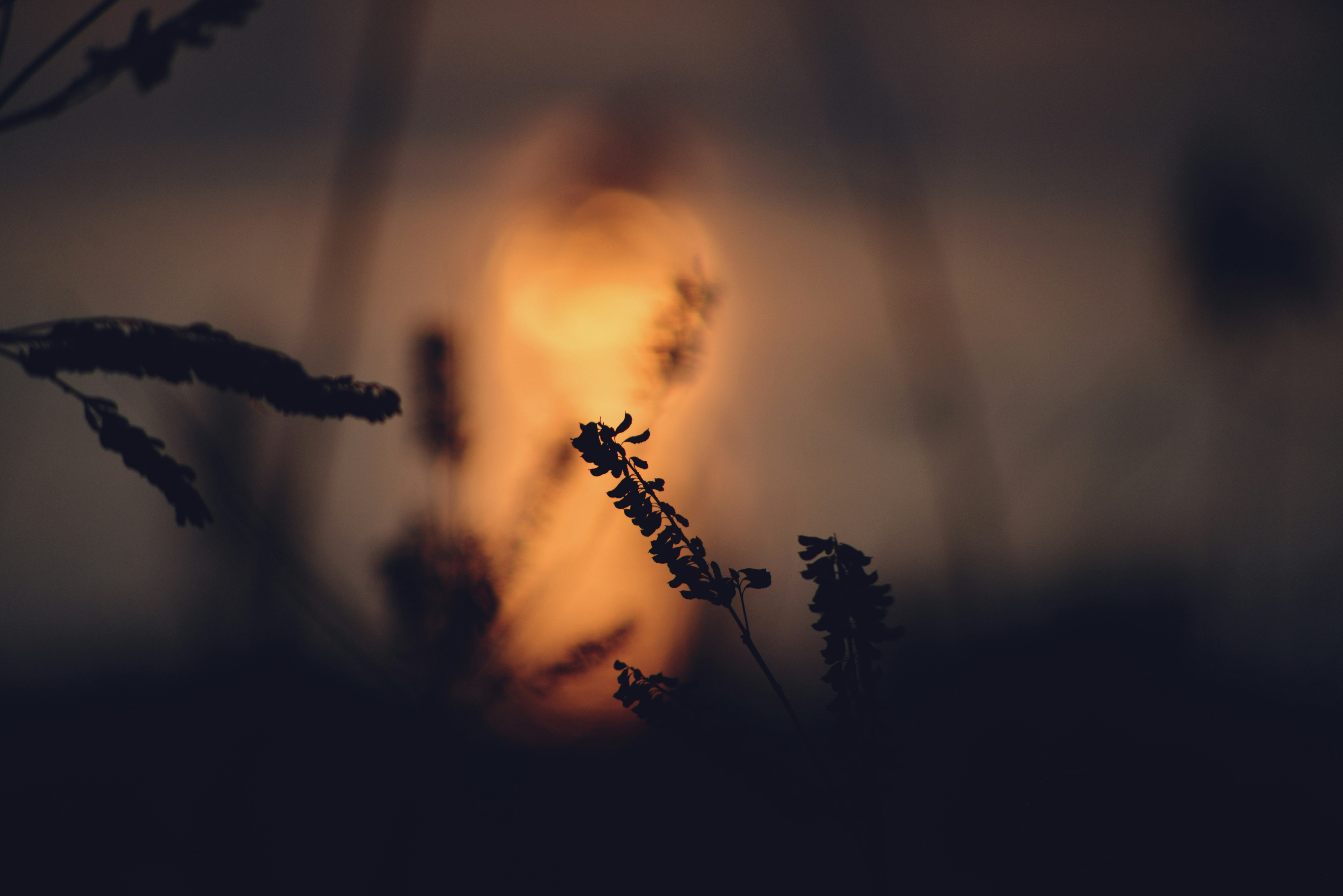 Photo by cherstve_pechivo