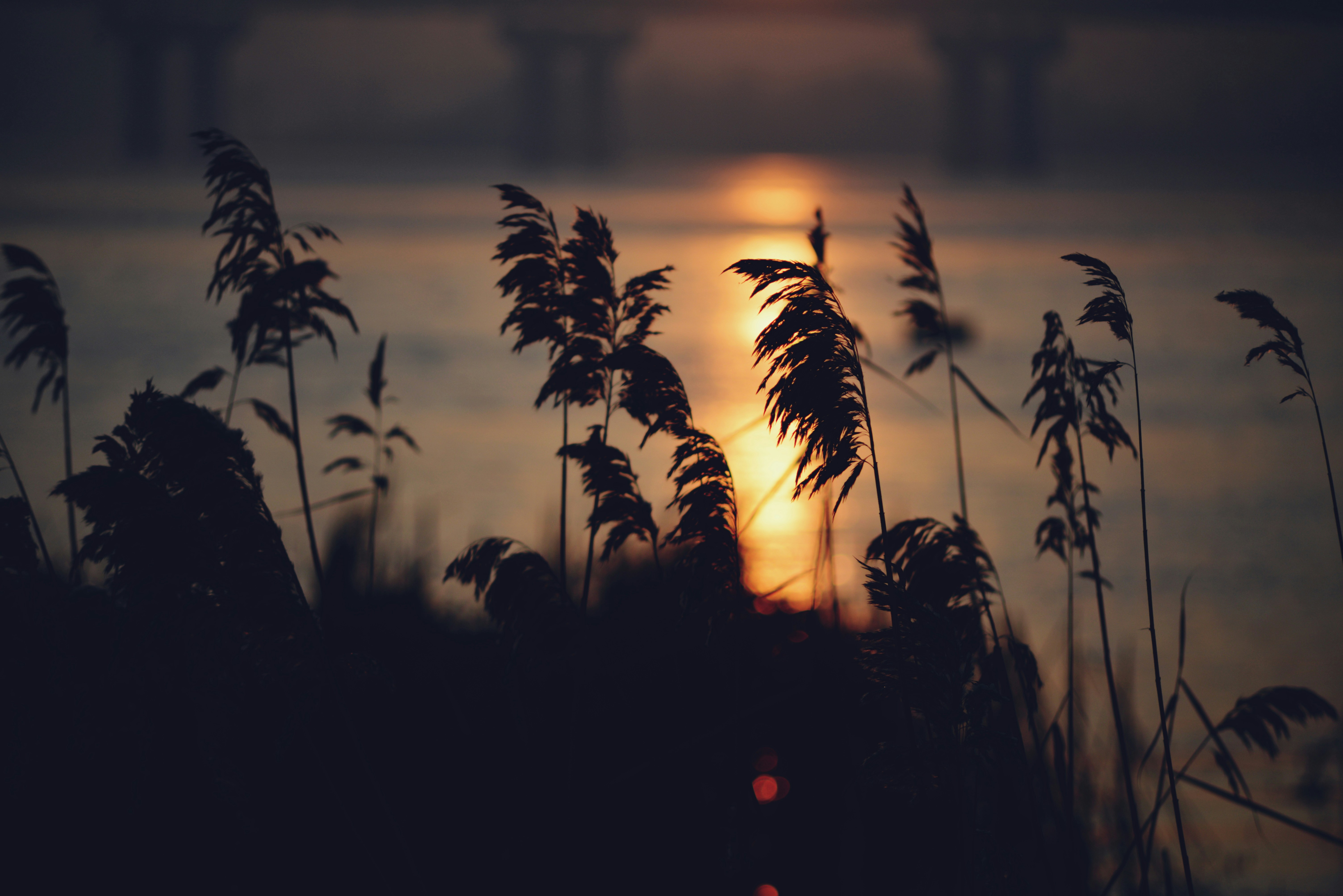 Photo by cherstve_pechivo