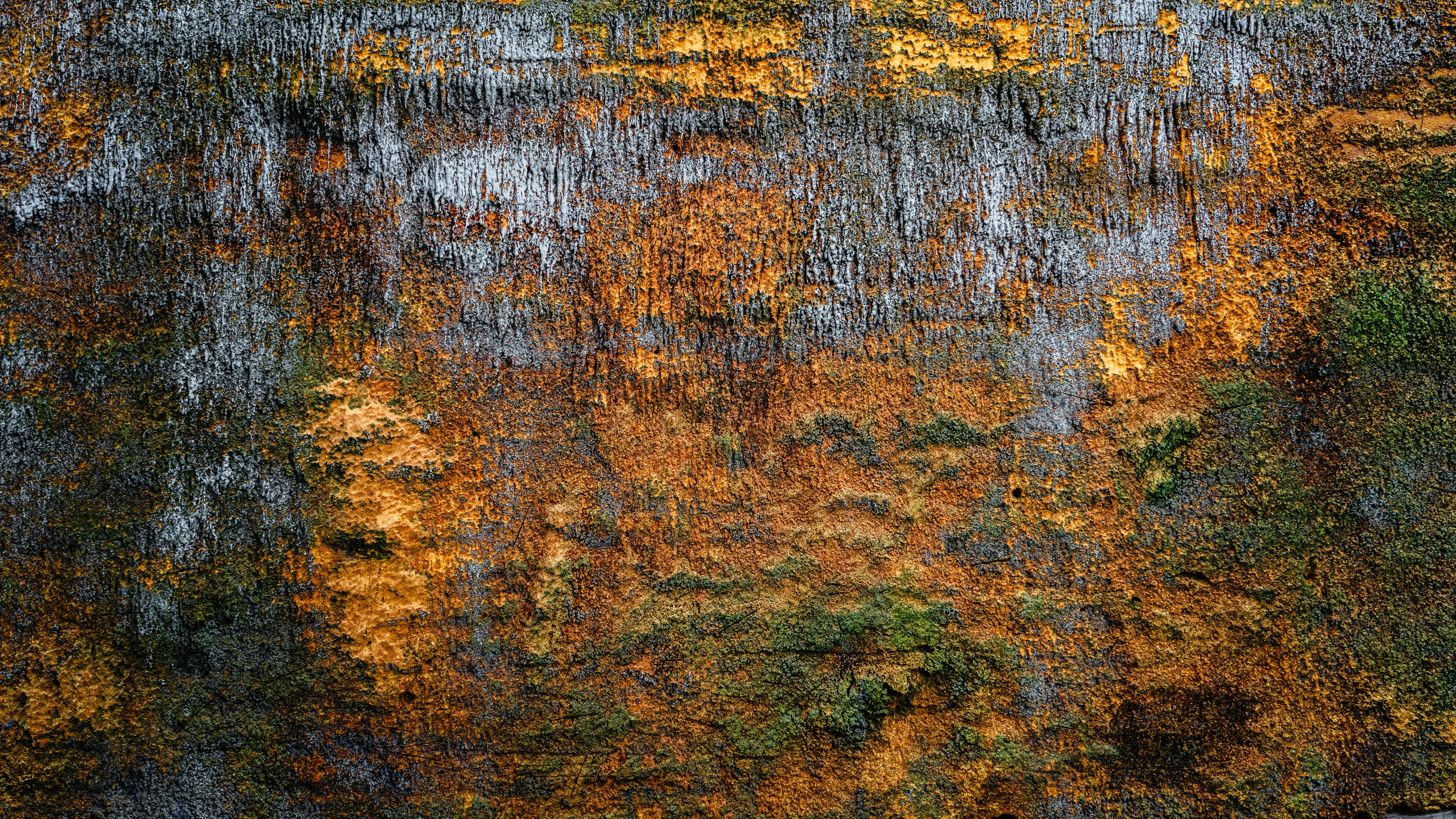 Nature landscape wallpaper, Forest trees wallpaper, Beach sunset wallpaper, Mountain range wallpaper, ilustrasi artikel Say 