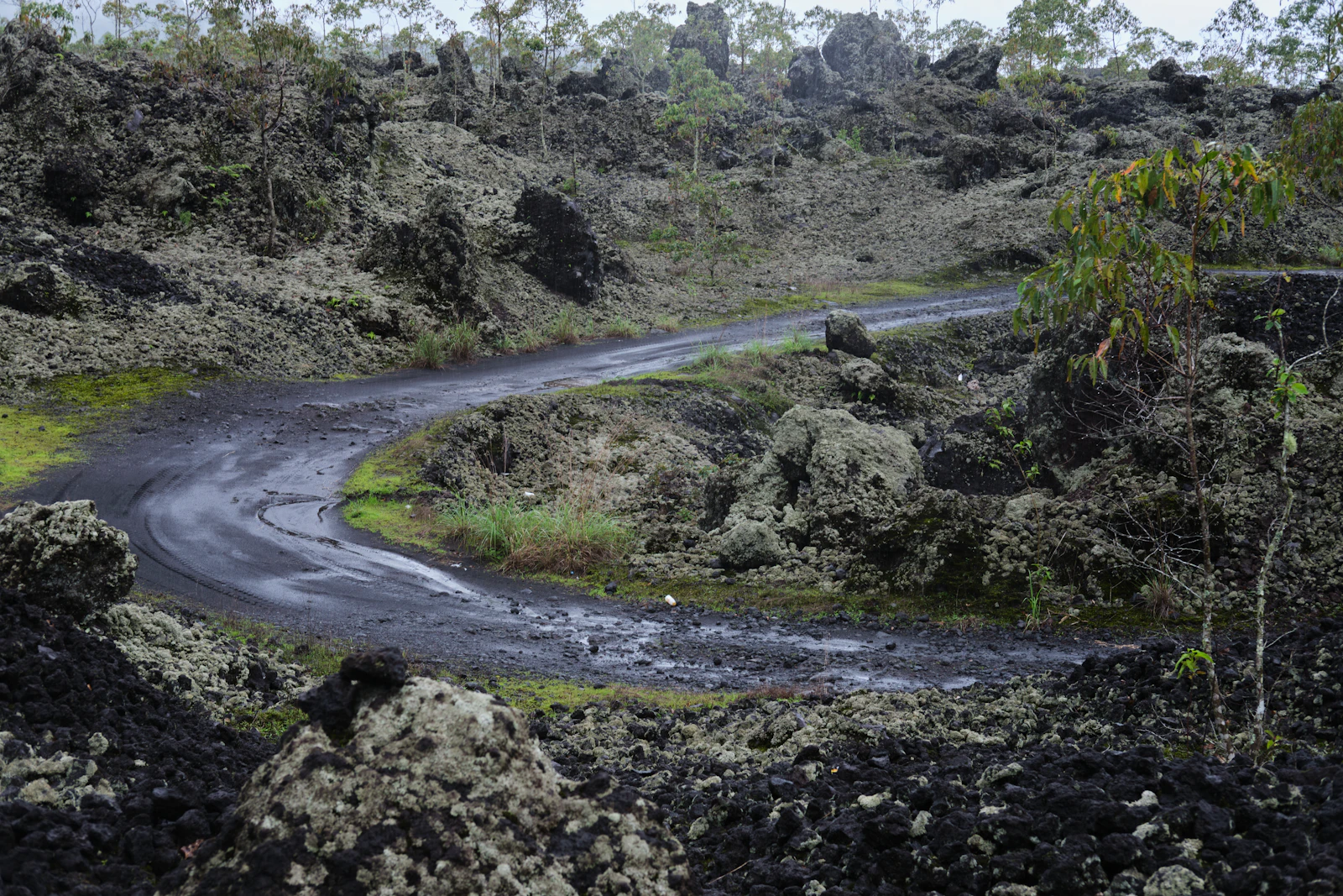 A narrow winding road through dark green terrain in Bali