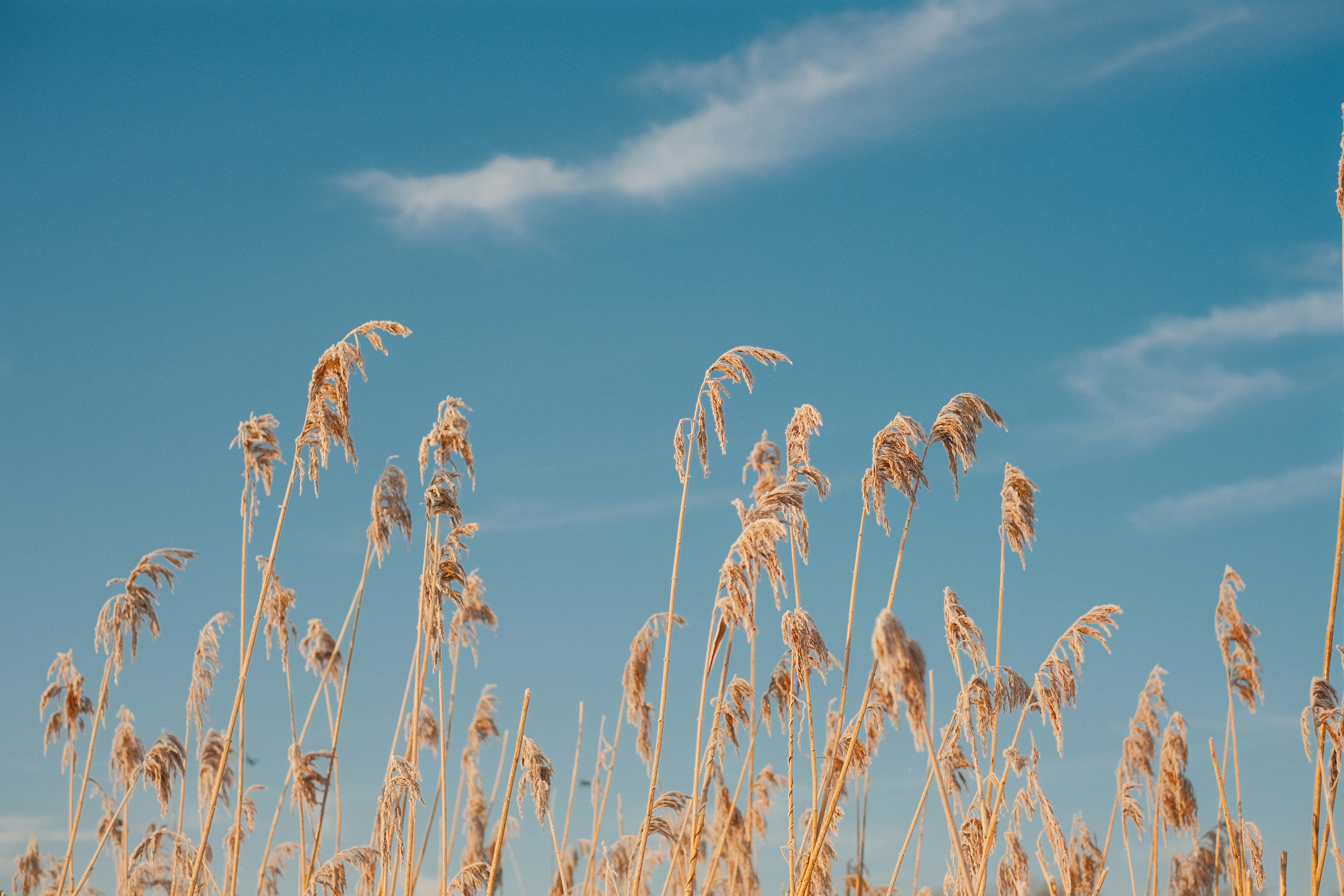 미세먼지 마스크를 효과적으로 착용하는 법 - 마스크 착용의 중요성과 방법