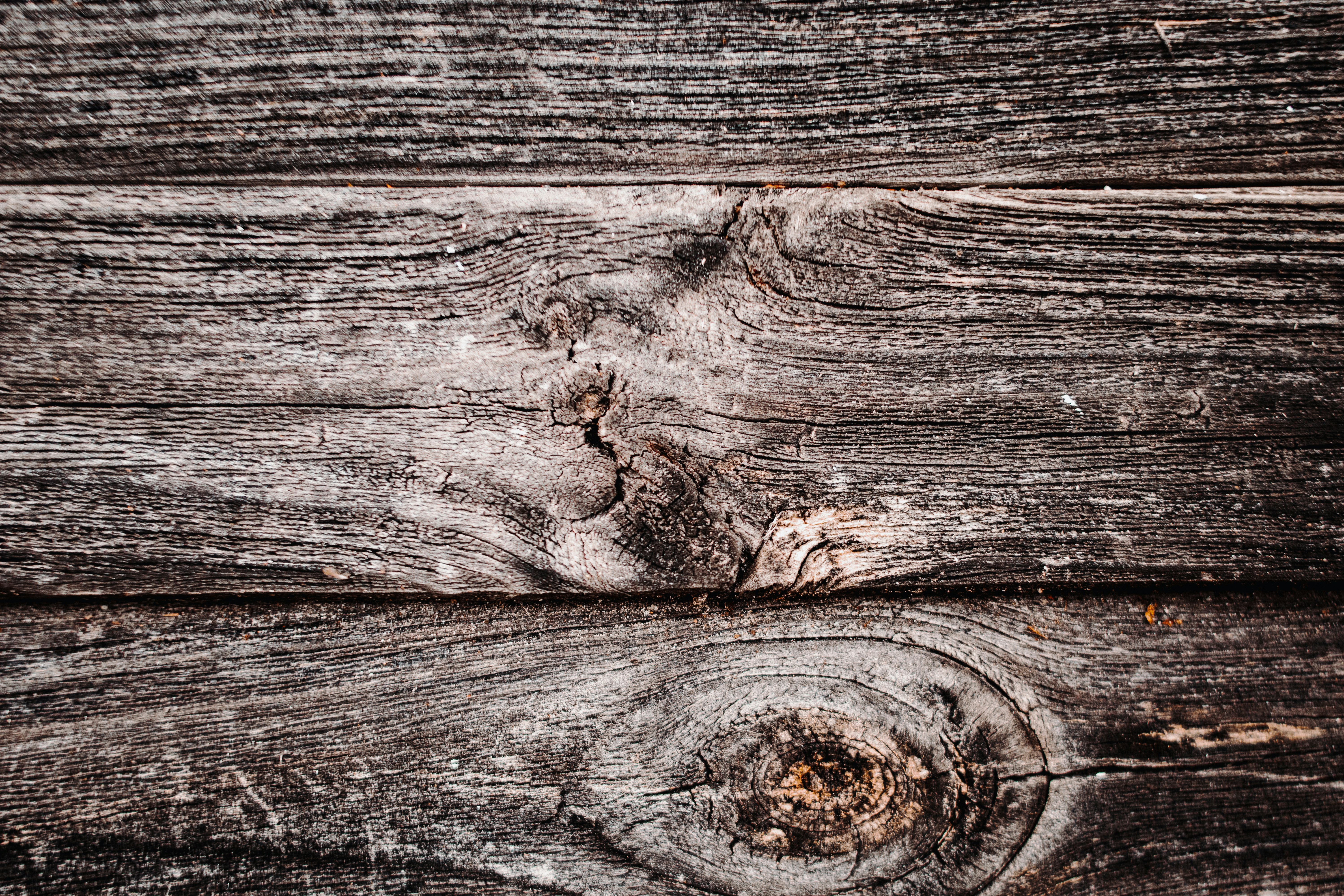 Photo by milagrachova