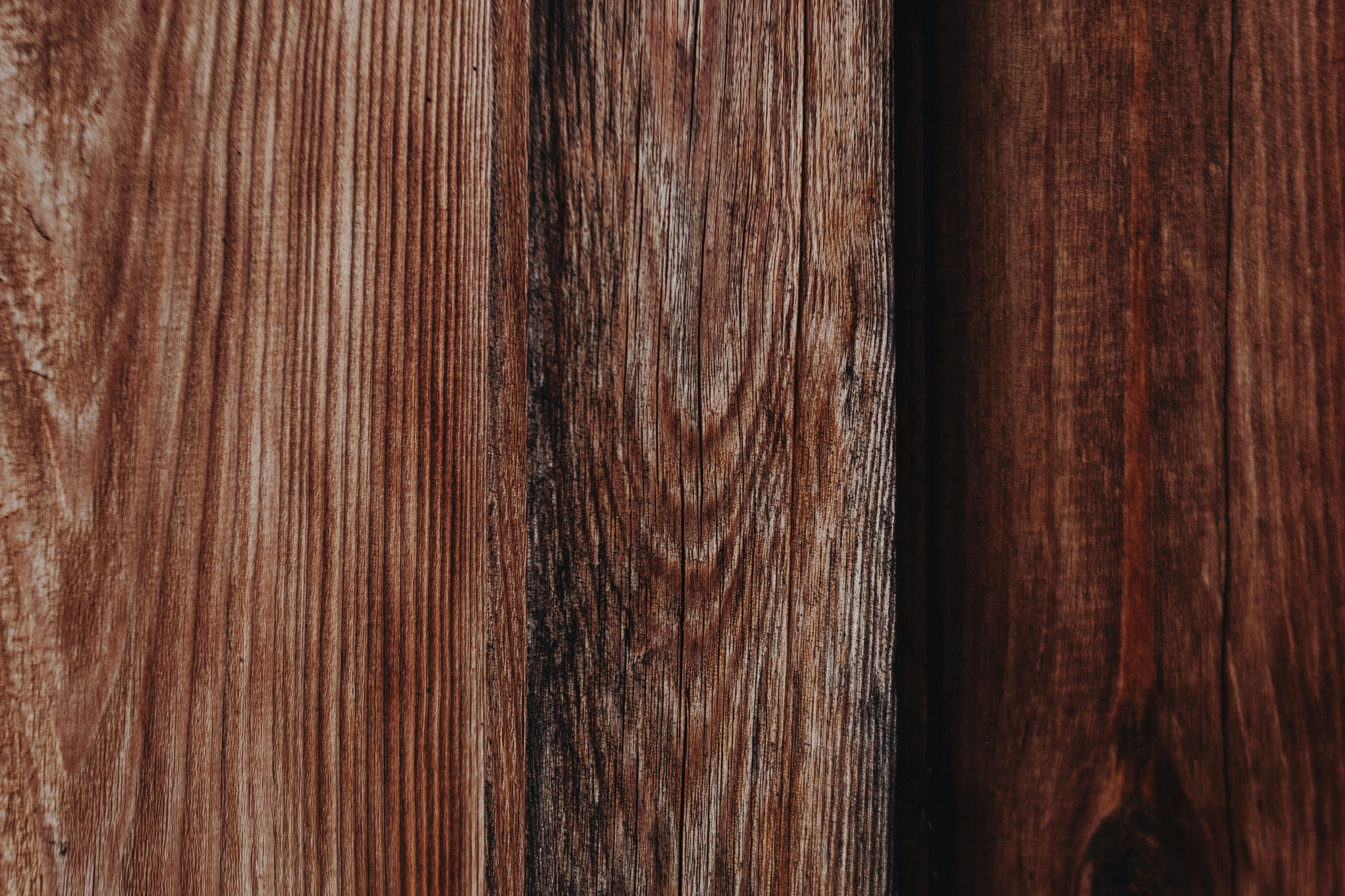 Photo by milagrachova