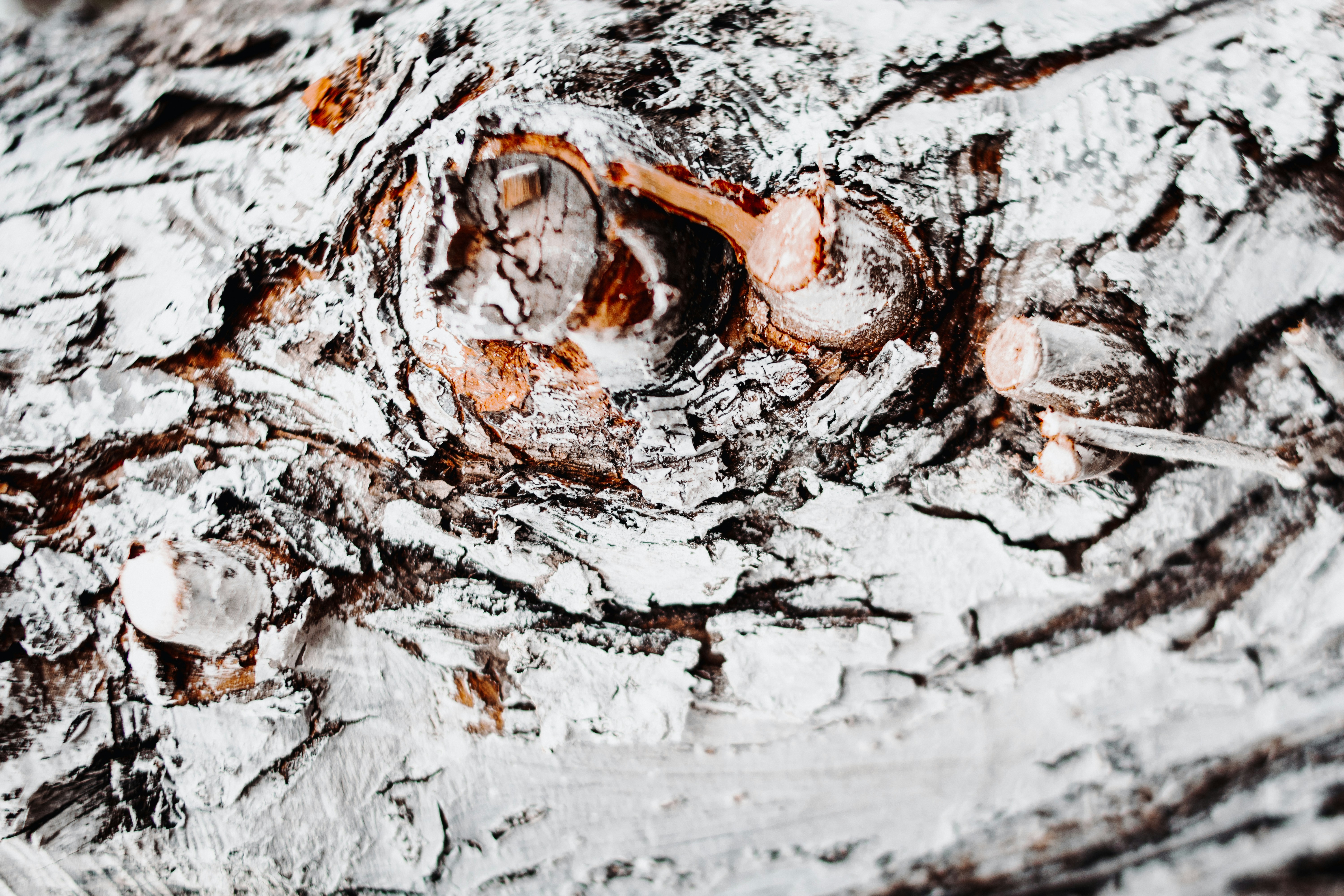 Photo by milagrachova