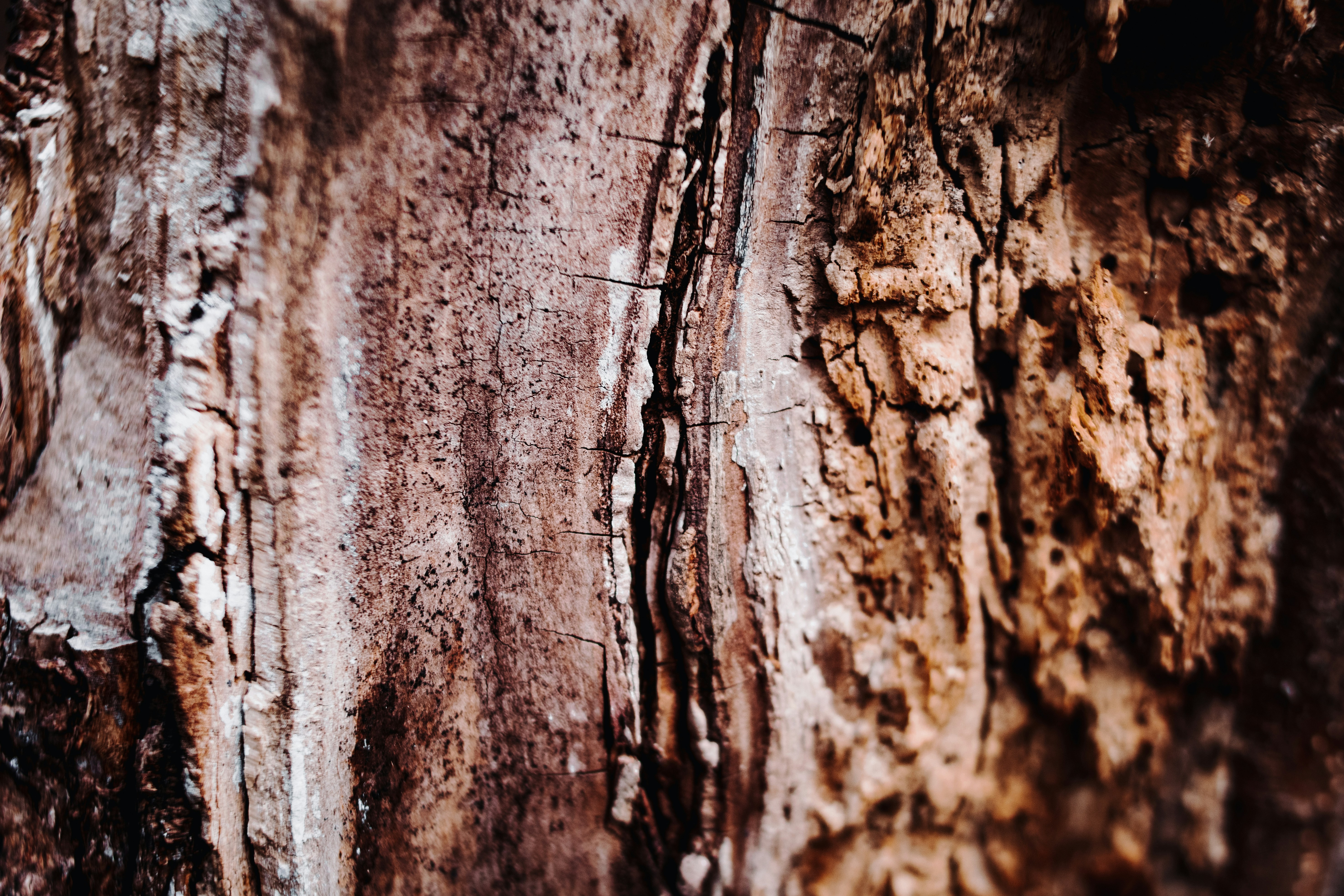 Photo by milagrachova