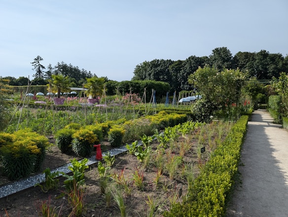 A garden filled with lots of different types of plants