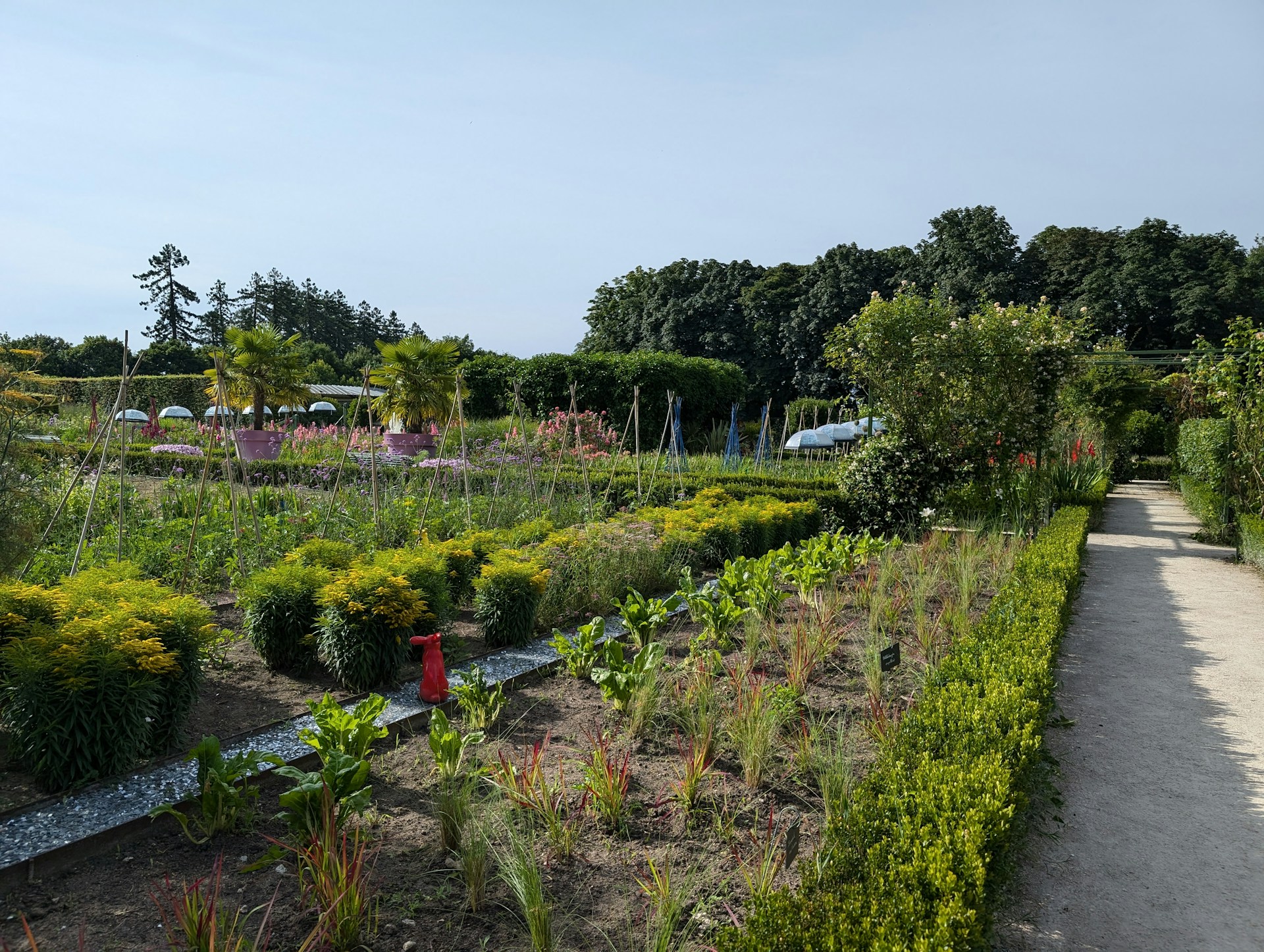 A garden filled with lots of different types of plants