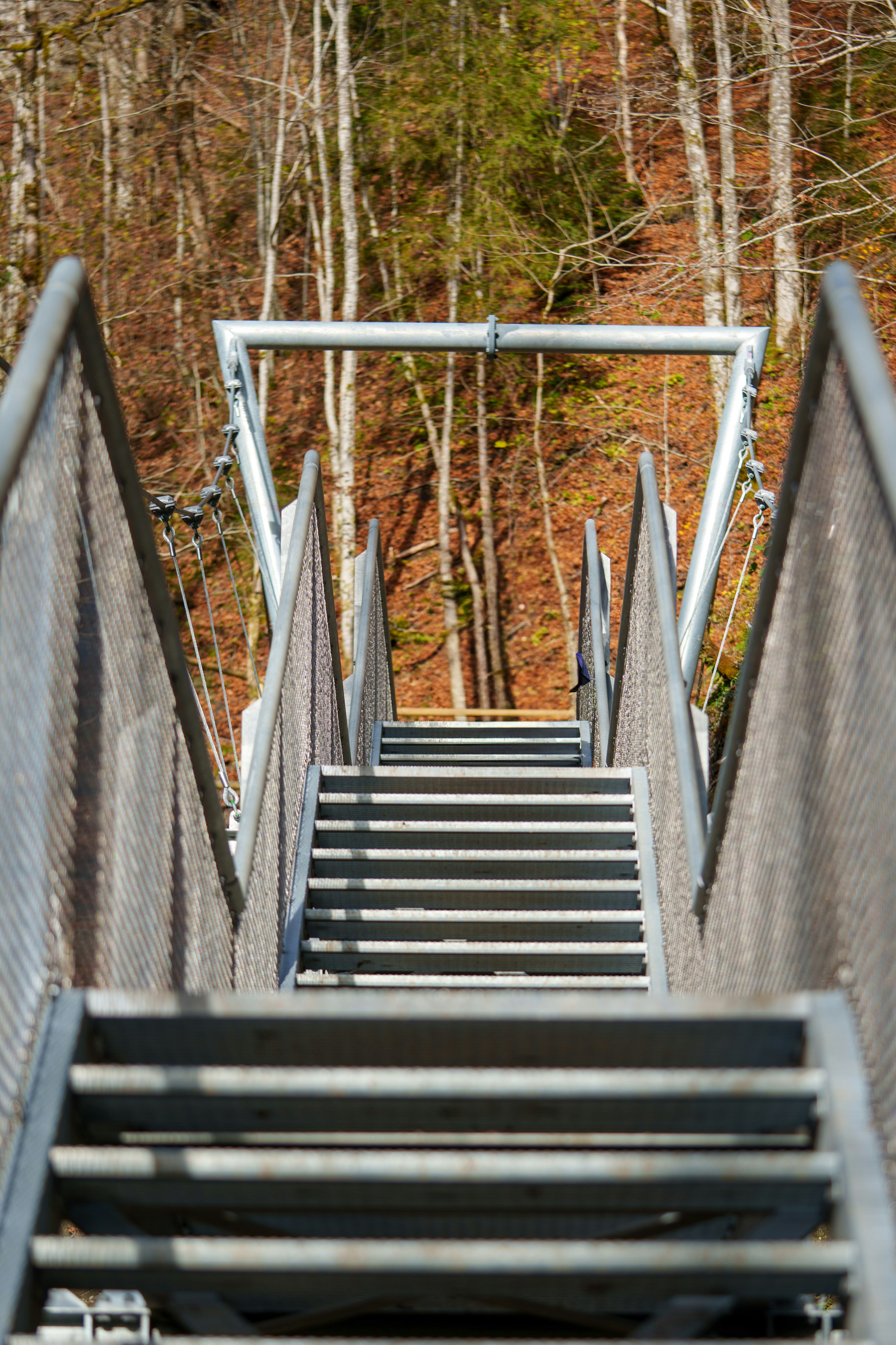 accessible nature wallpaper, wallpaper, Accessible Campgrounds: Enjoying the Outdoors for All 4